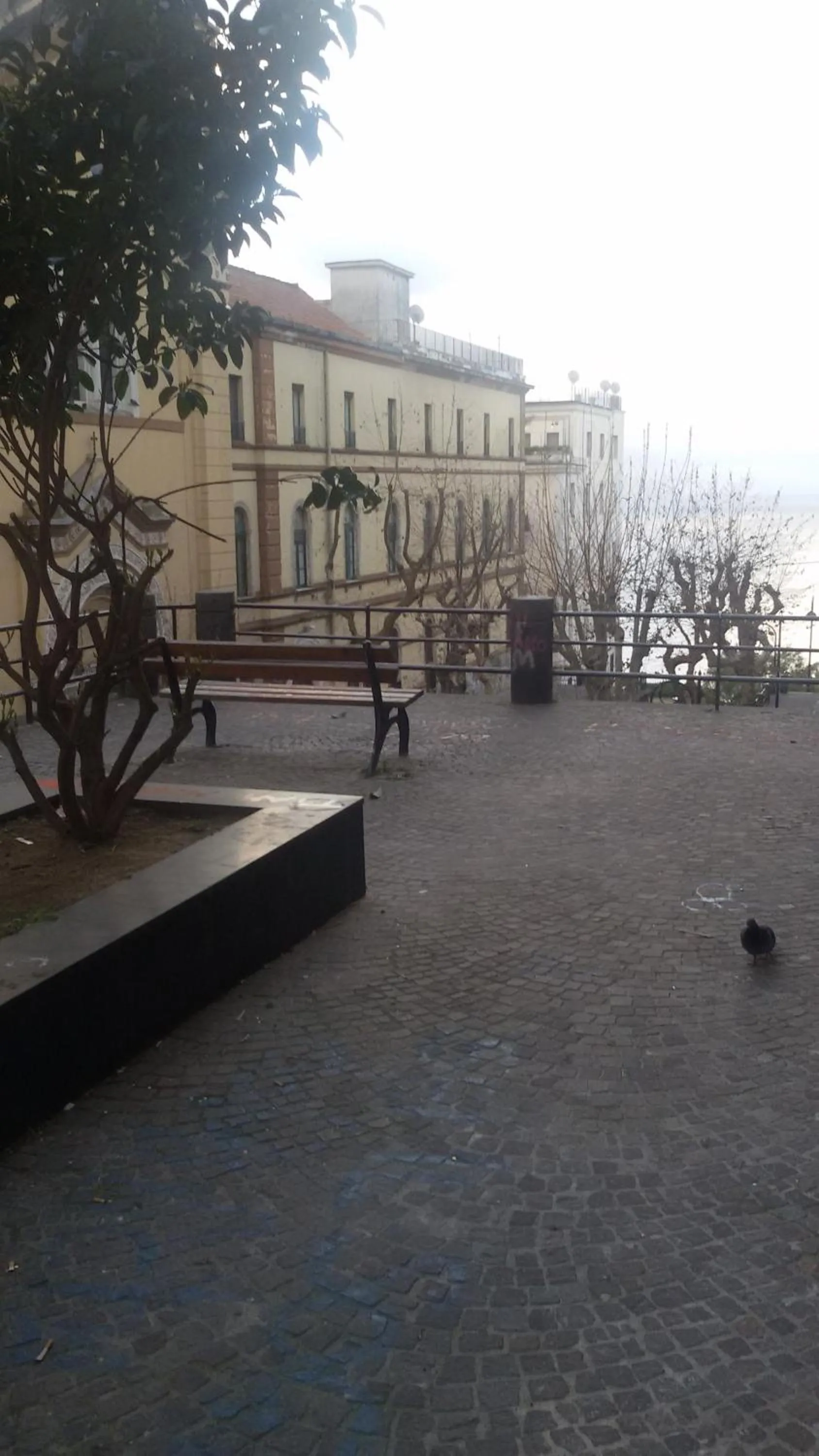 City view in At Home Lettieri