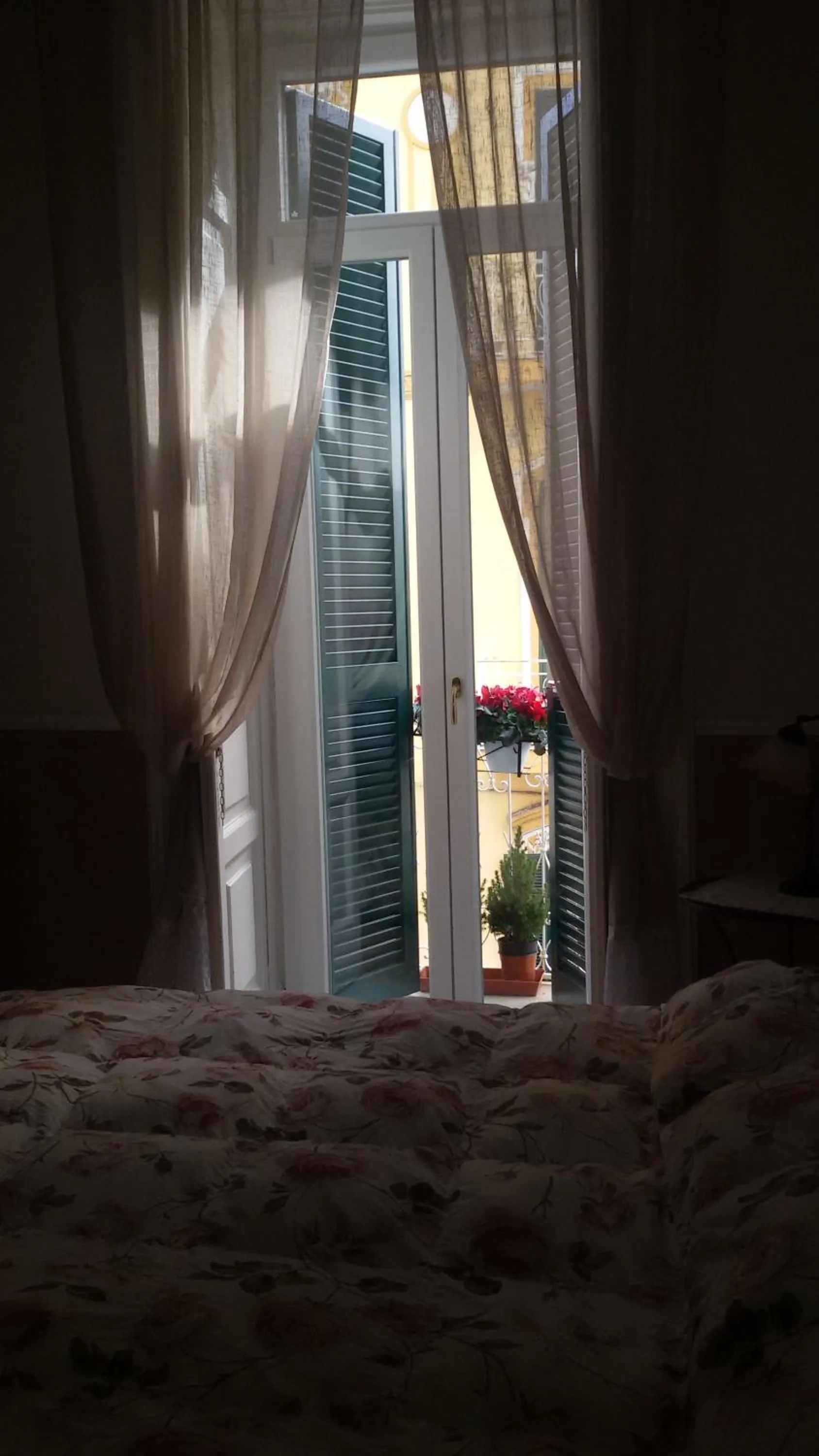 Photo of the whole room in At Home Lettieri