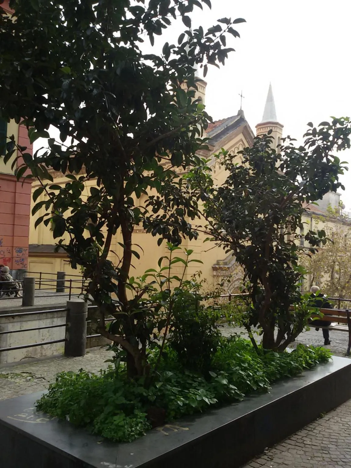 City view in At Home Lettieri