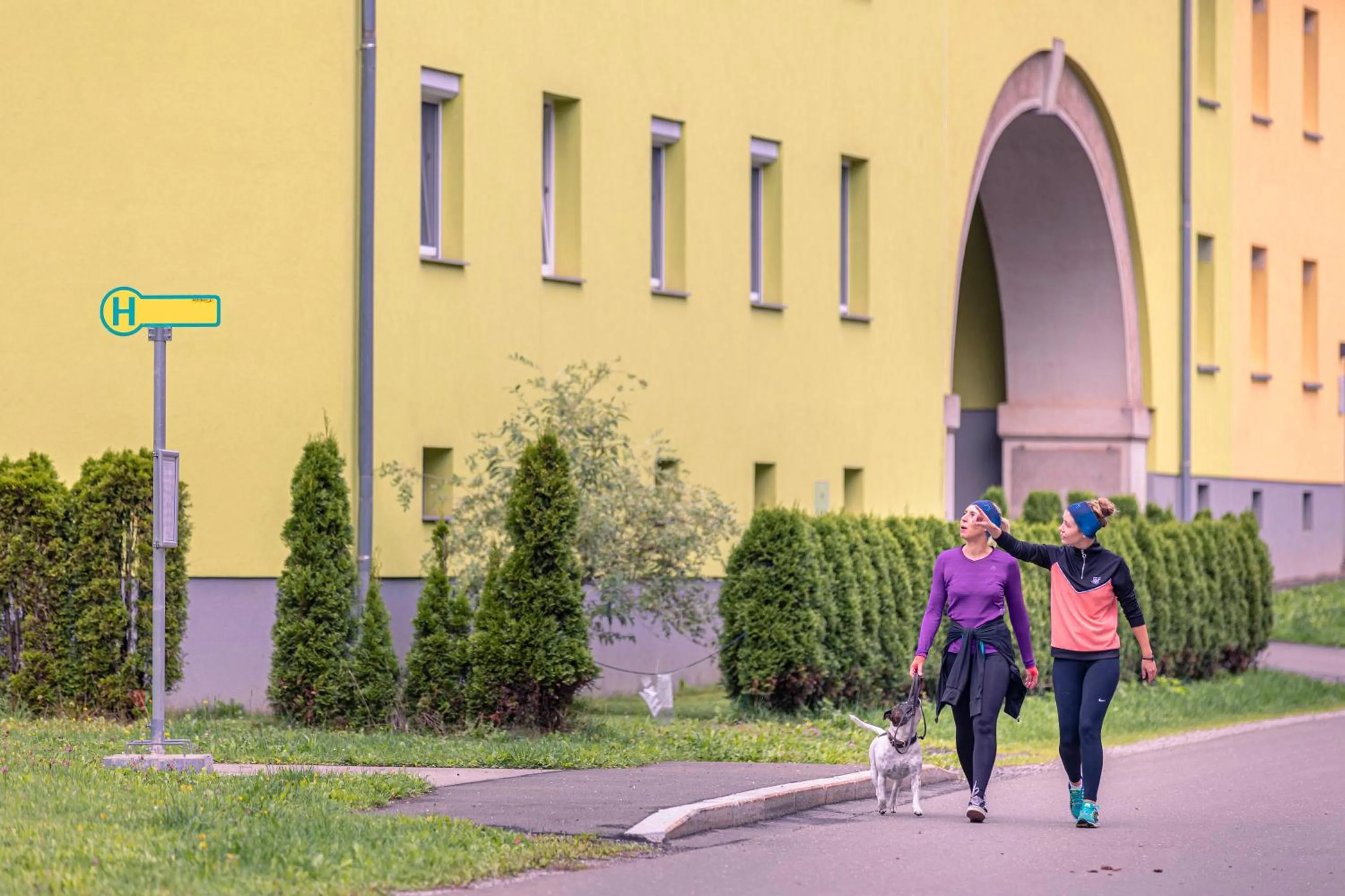 Pets in Erzberg Alpin Resort by ALPS RESORTS