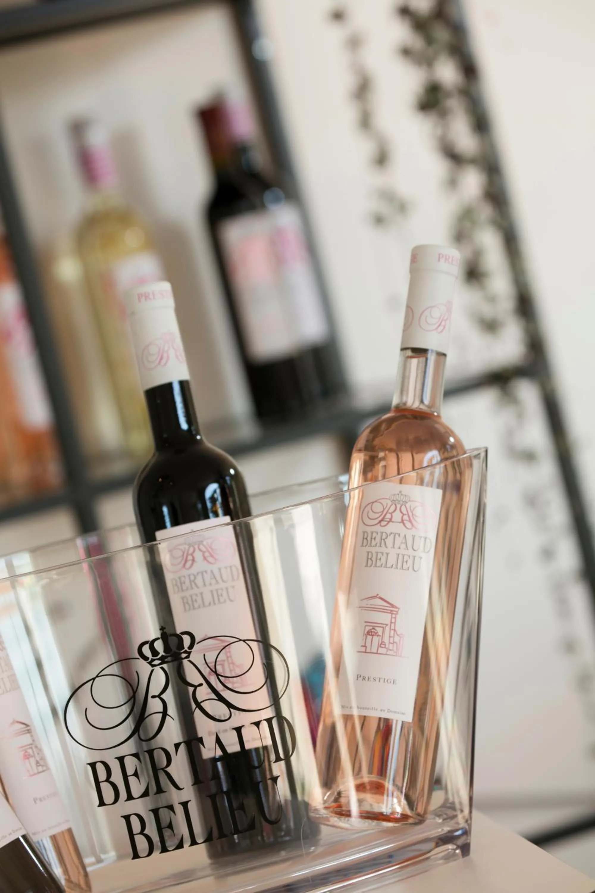 Lounge or bar in Adonis Mougins