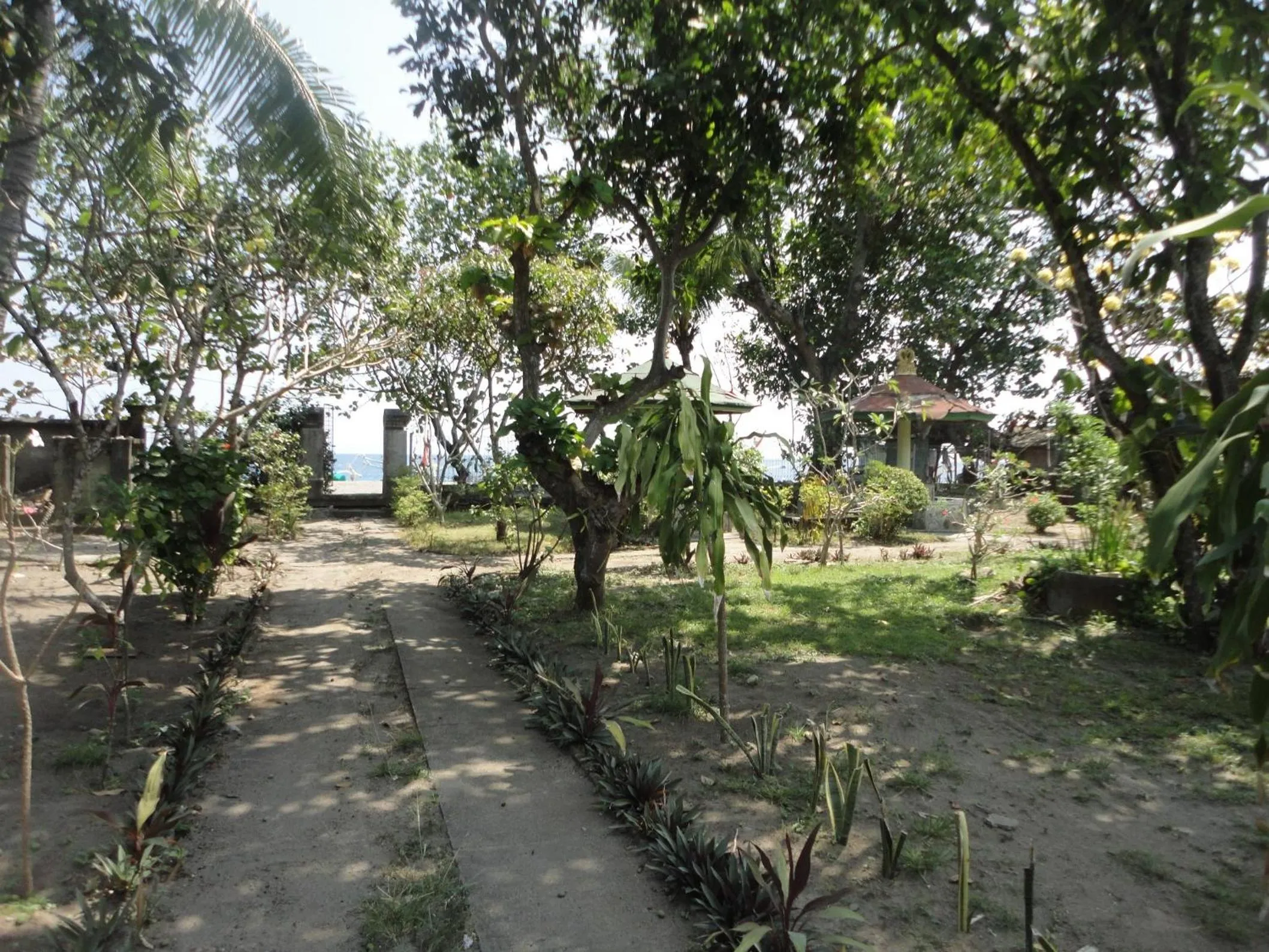 Garden in Pakuna Beach
