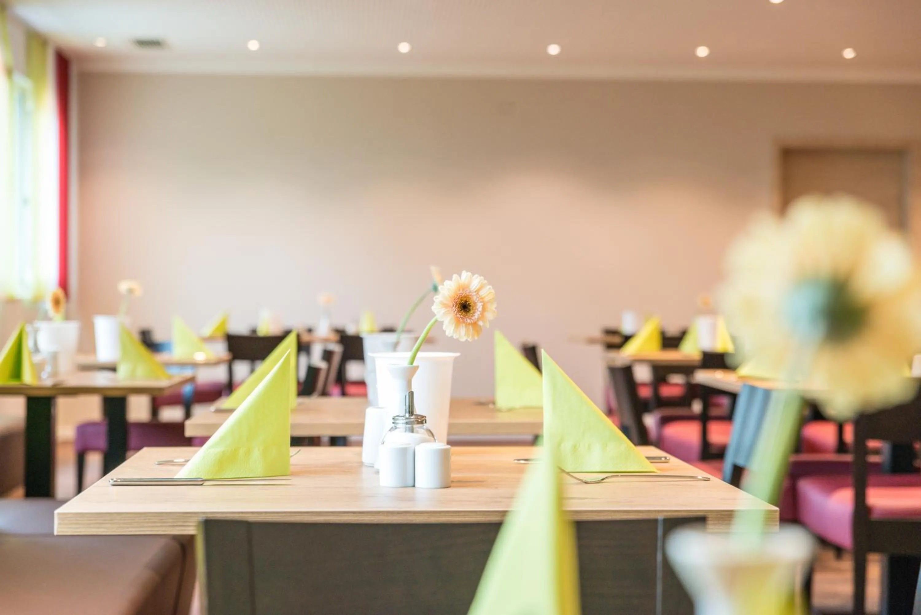 Food and drinks in Ammi Hotel Garni