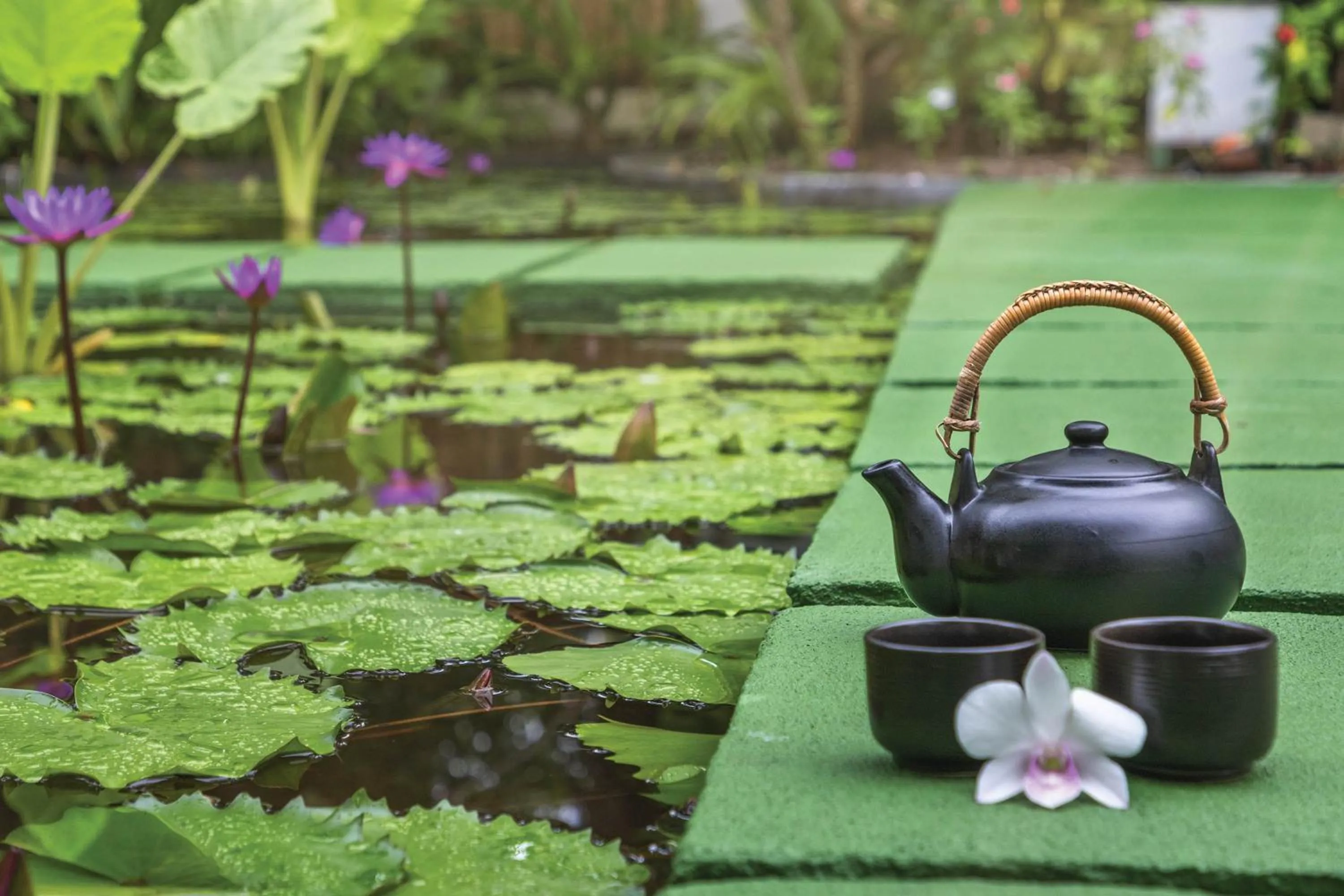 Spa and wellness centre/facilities in OBLU NATURE Helengeli-All-Inclusive with free Transfers