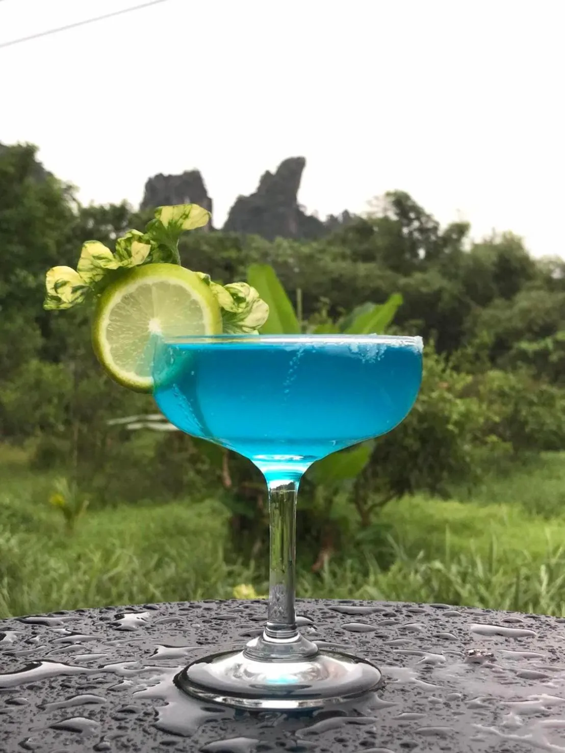 Khao Sok Royal Bamboo Lodges - SHA Certified