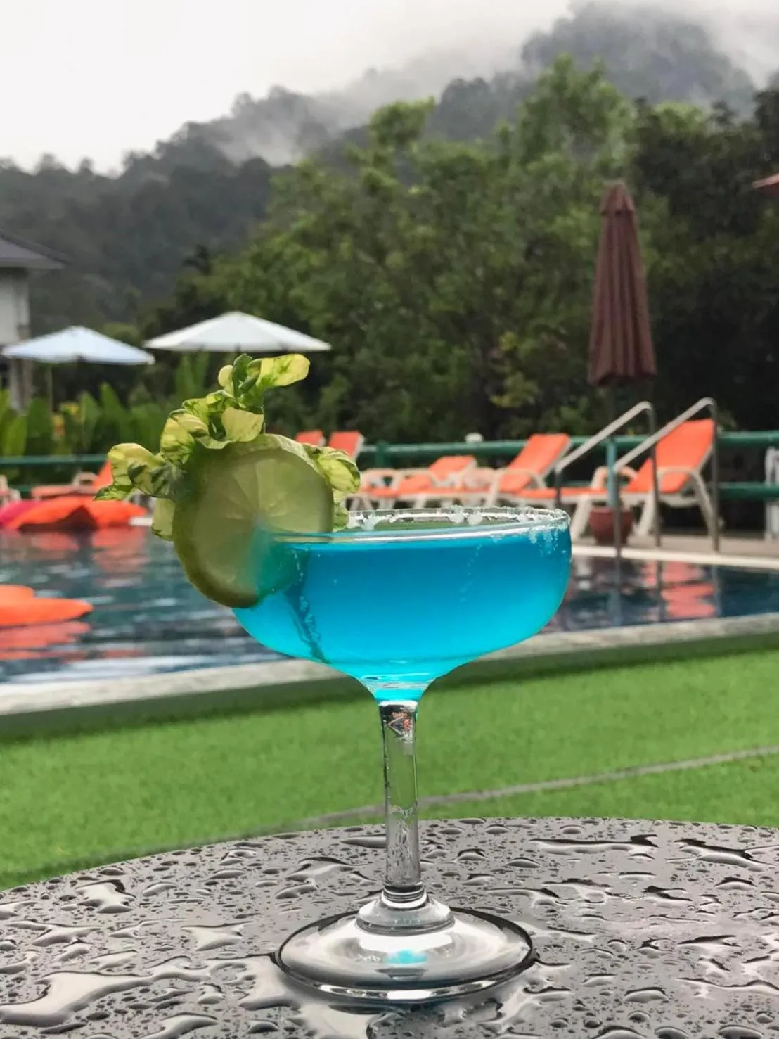 Khao Sok Royal Bamboo Lodges - SHA Certified