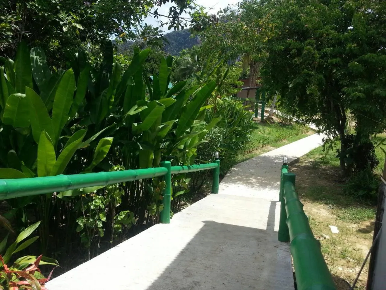 Day in Khao Sok Royal Bamboo Lodges - SHA Certified