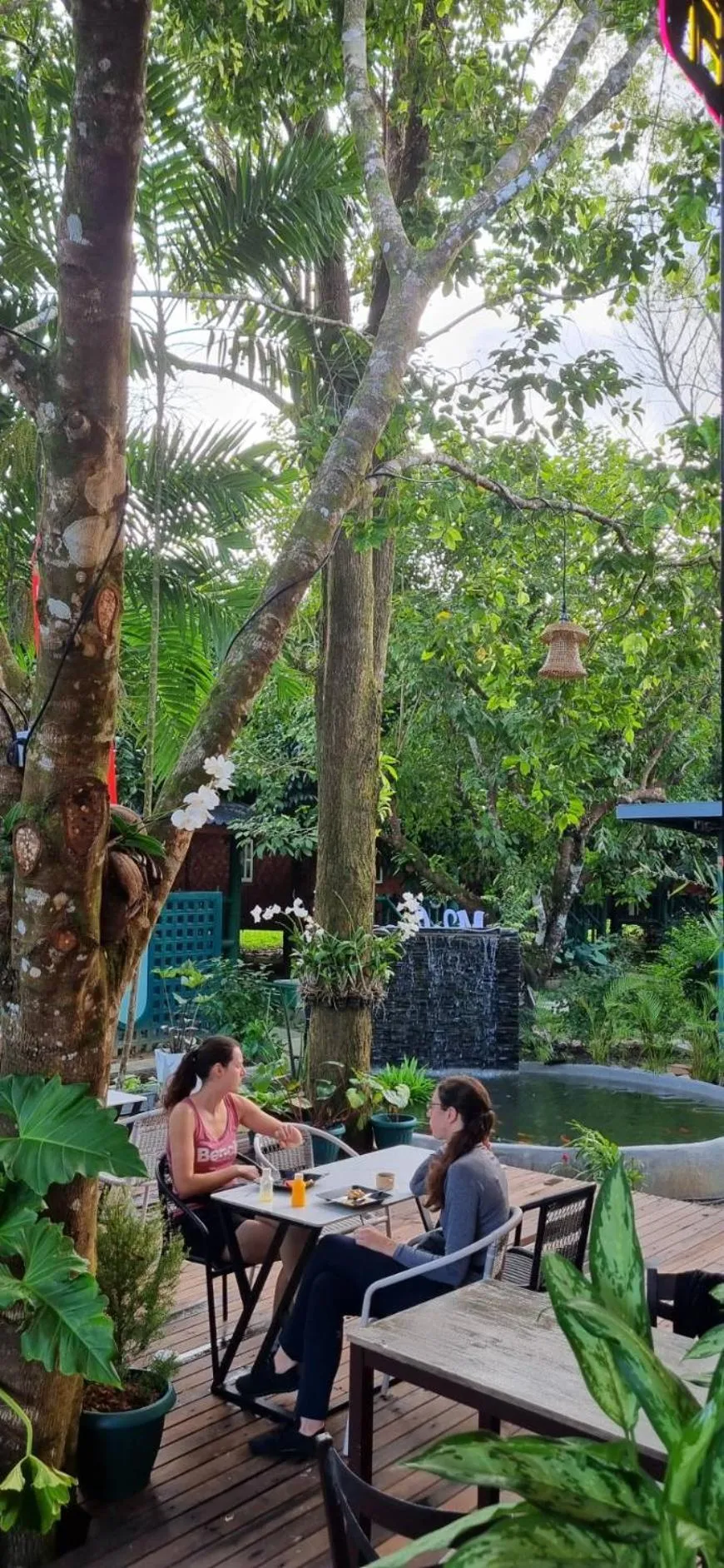 Restaurant/places to eat in Khao Sok Royal Bamboo Lodges - SHA Certified