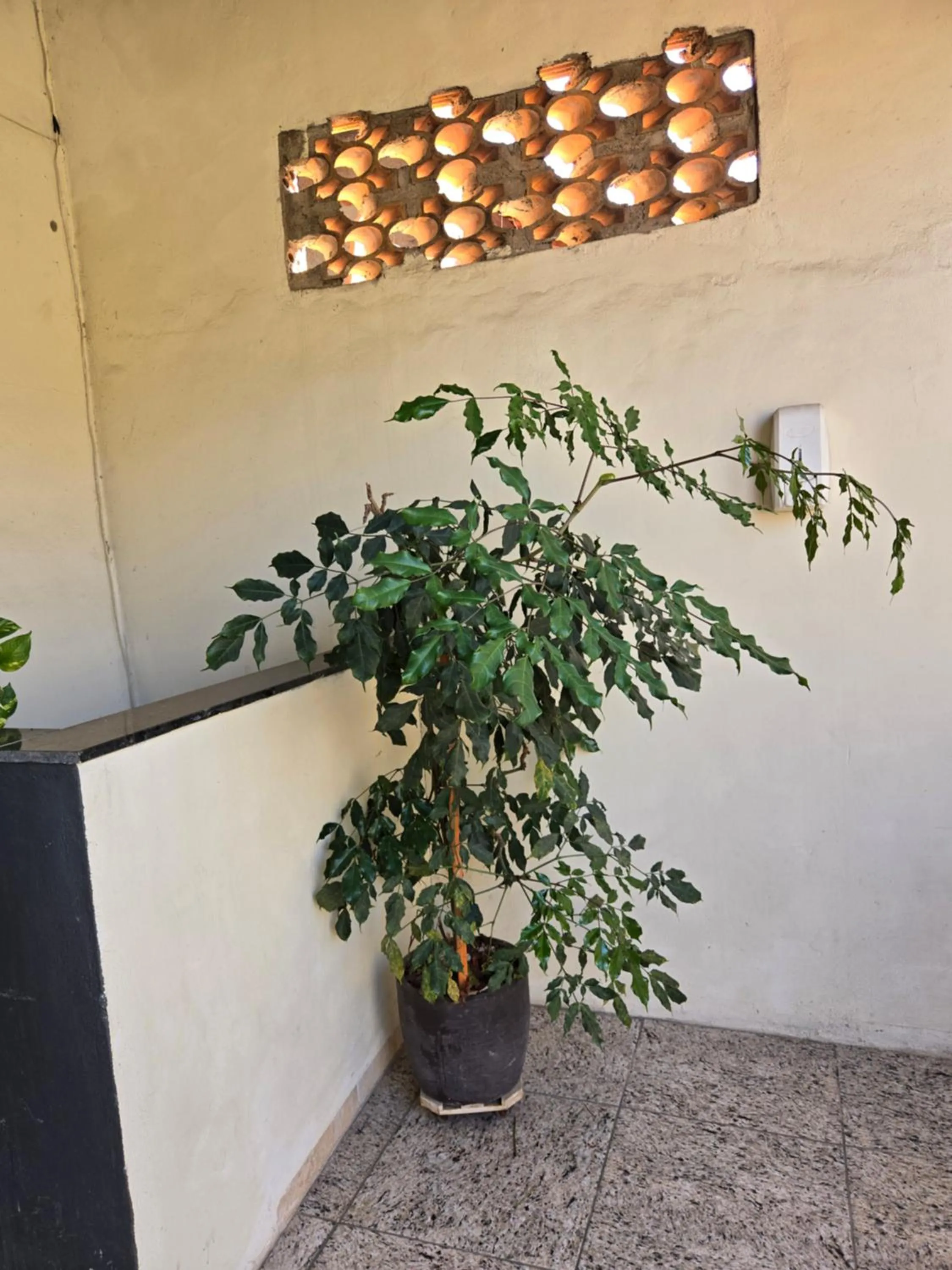 Decorative detail in Quartos Em Casa In Caxias da Paraíso