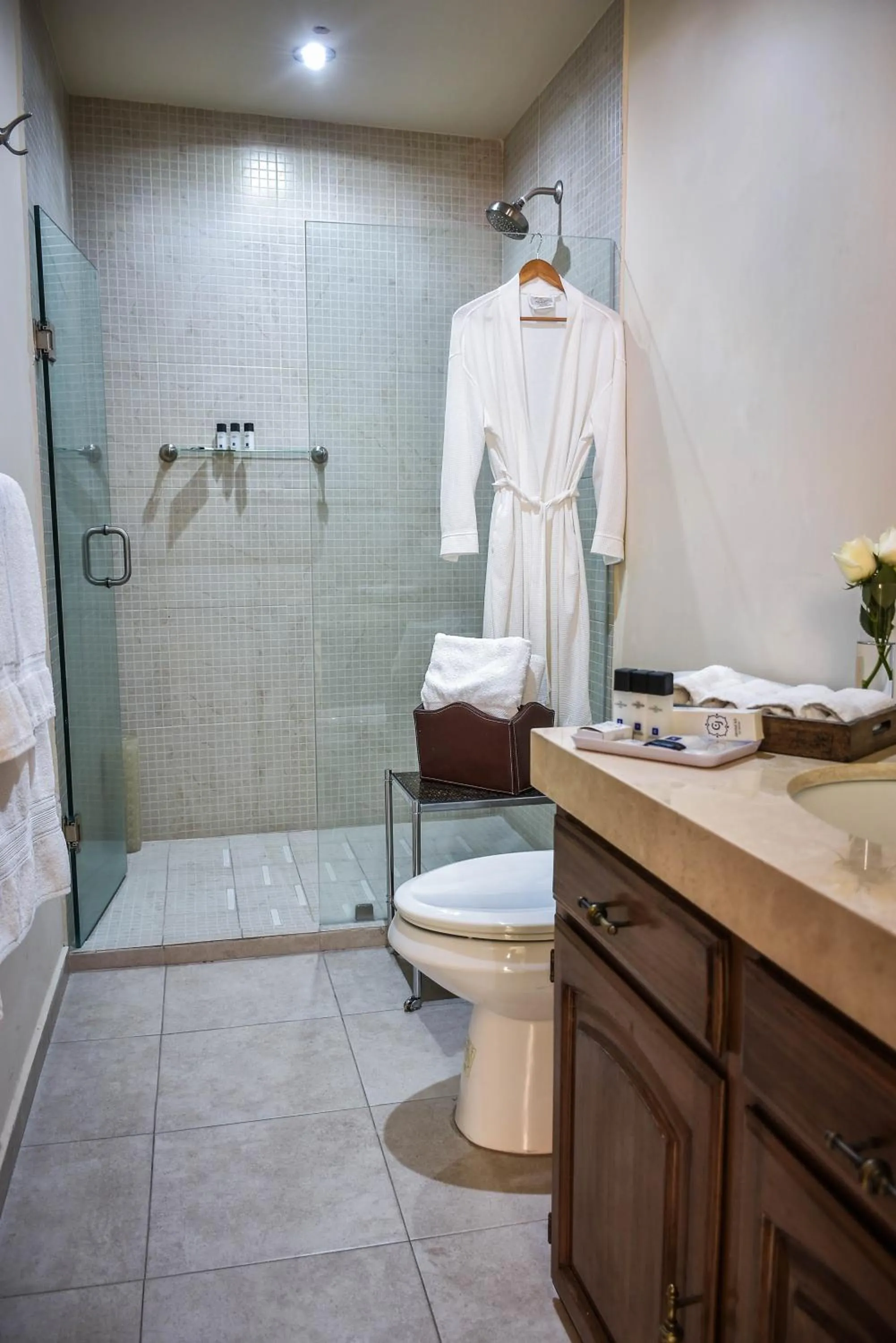 Toilet in Hotel Boutique Casa del Jardín Aguascalientes