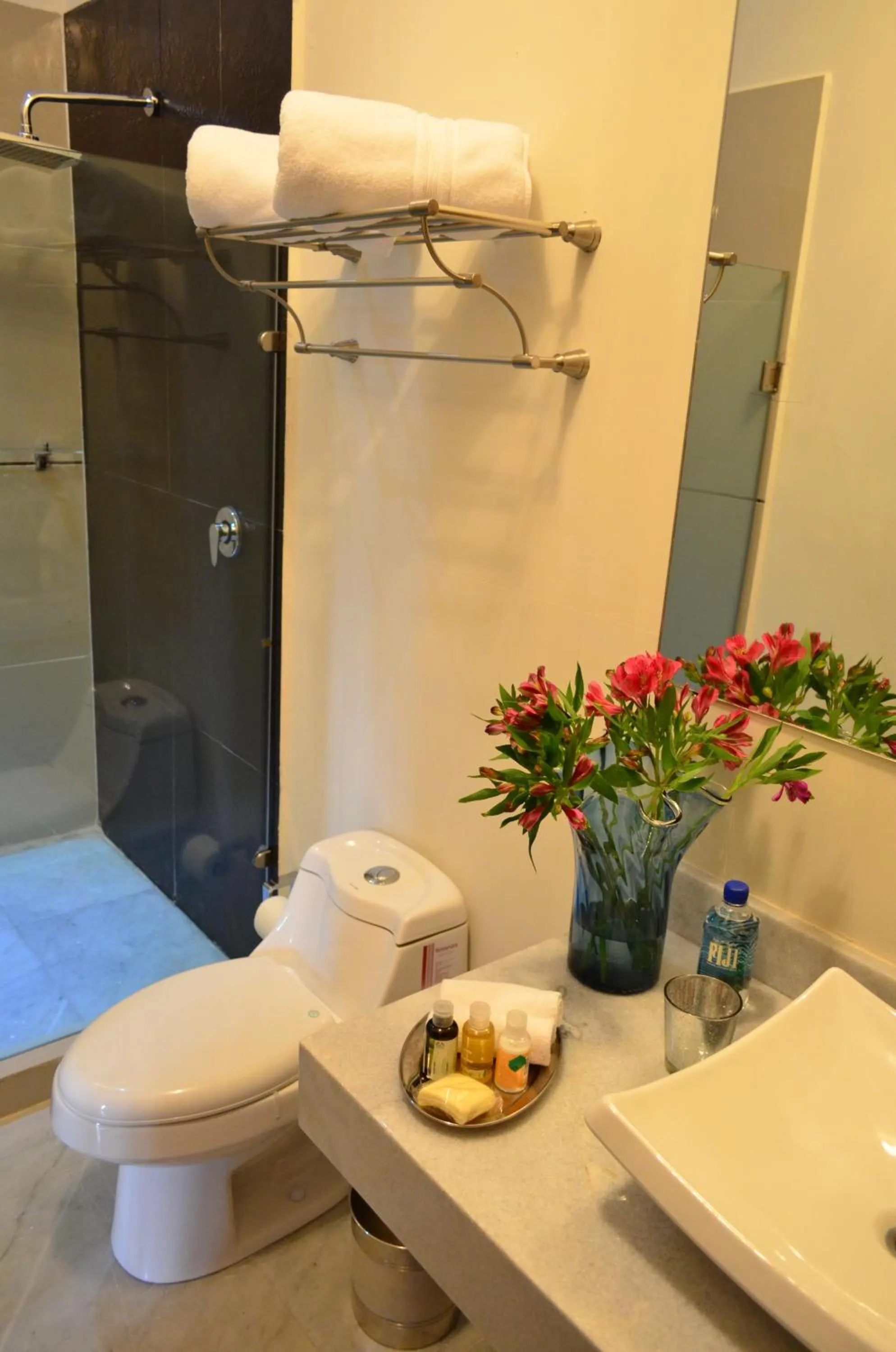 Toilet in Hotel Boutique Casa del Jardín Aguascalientes