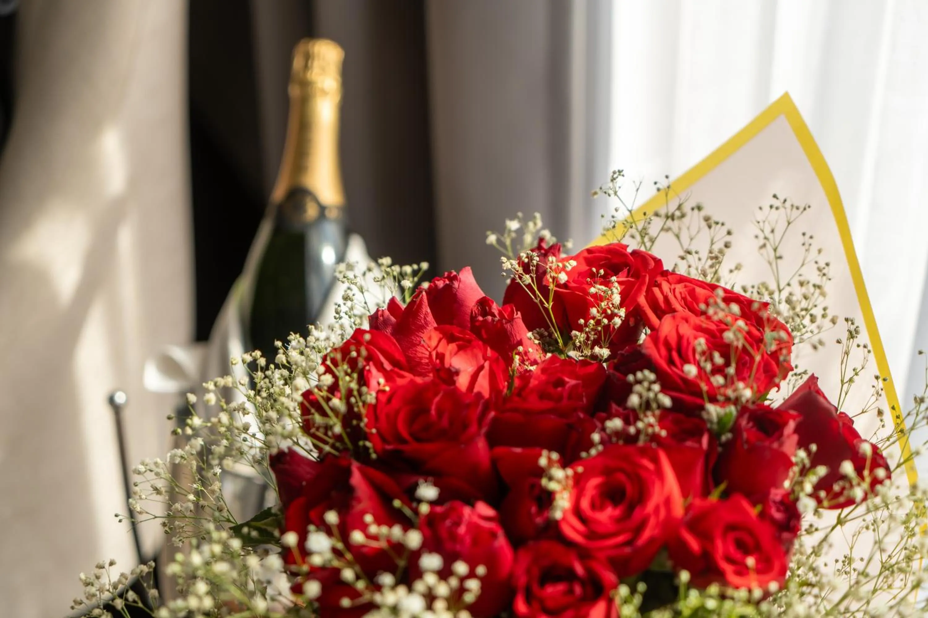 Dinner in Hotel Boutique Casa del Jardín Aguascalientes