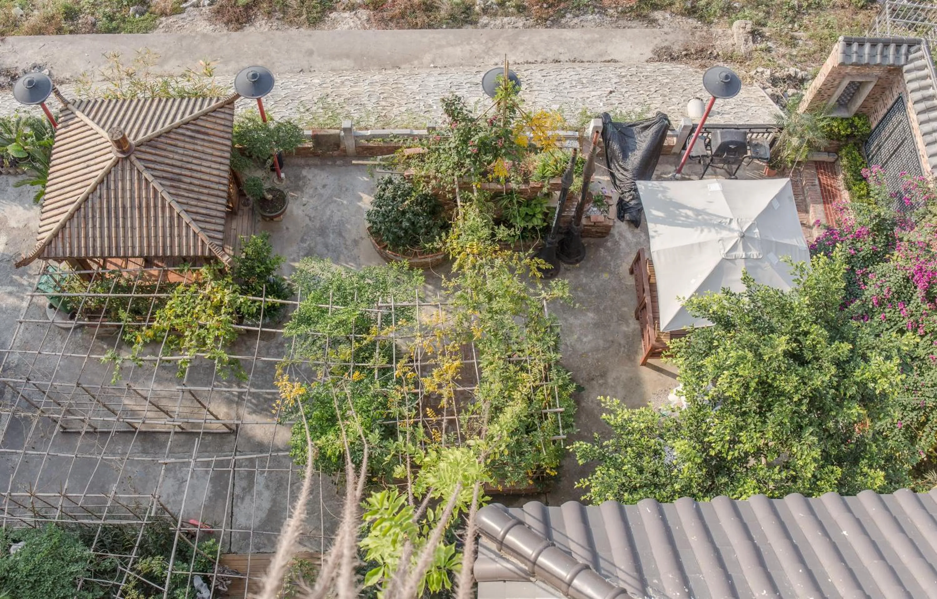 Bird's eye view in Zen Tea House Seven Stars Park