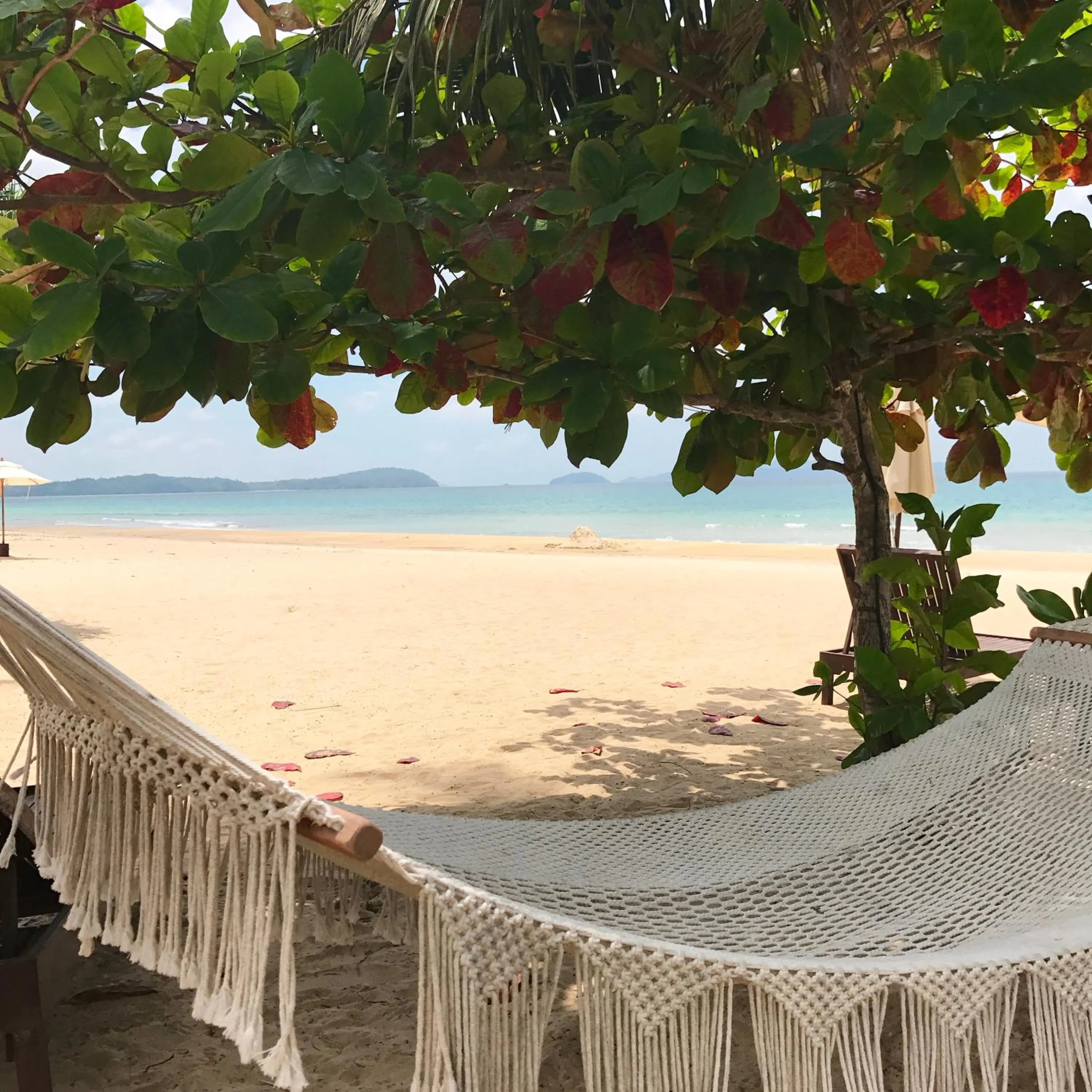 Beach in Club Agutaya