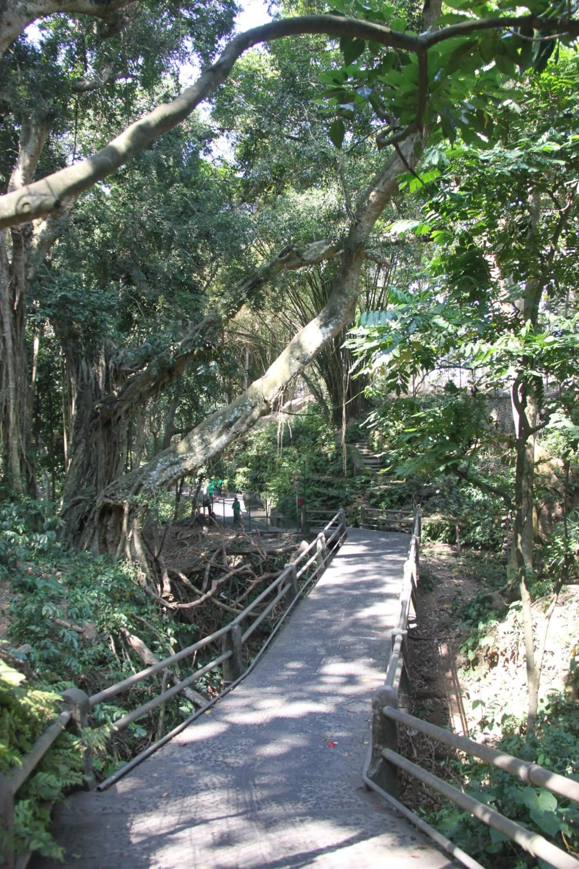 Neighbourhood in Umaya Ubud Villa