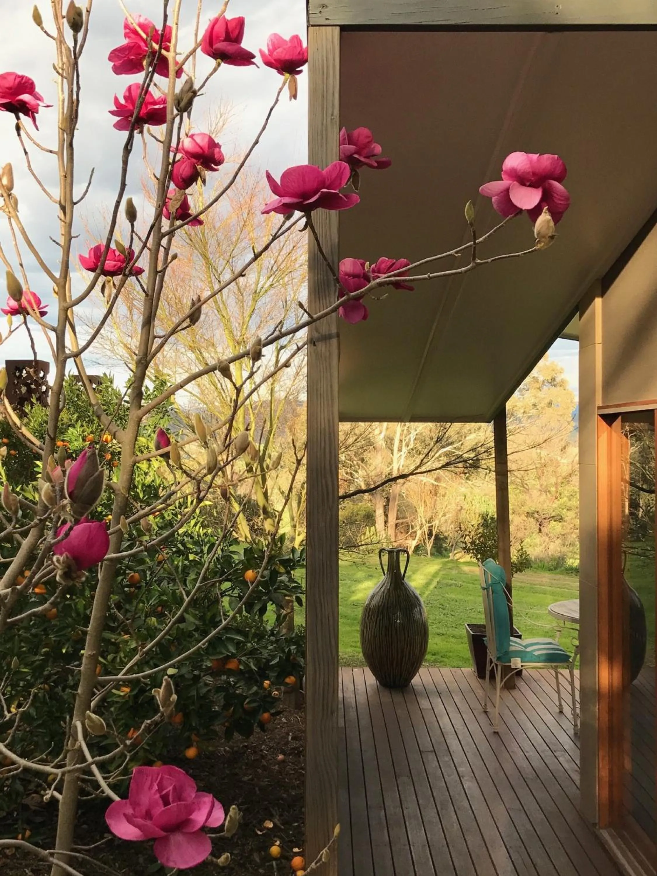 Spring in The Studio - Yarra Valley