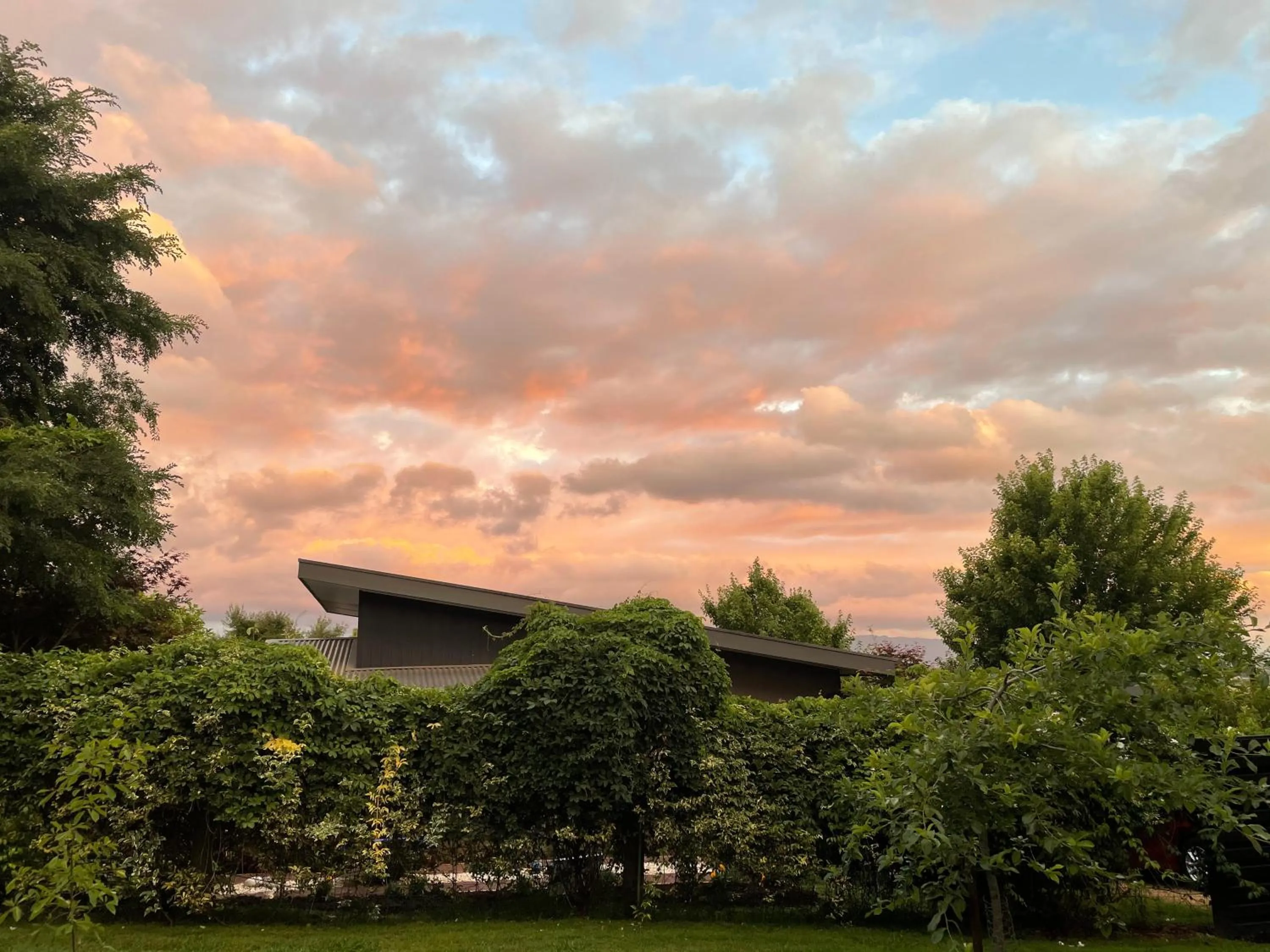 Property building in The Studio - Yarra Valley