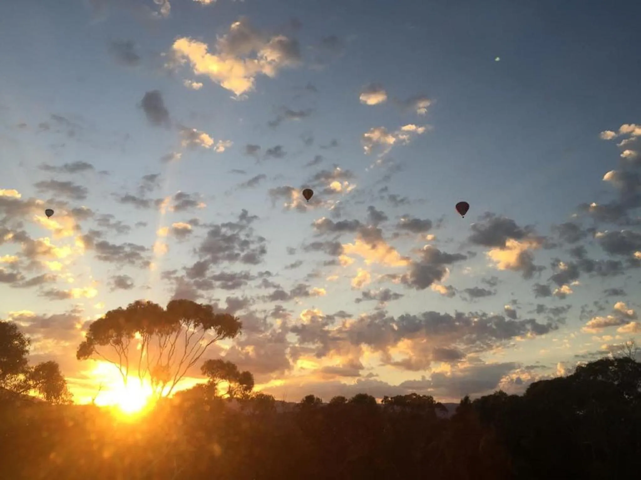 Natural landscape in The Studio - Yarra Valley