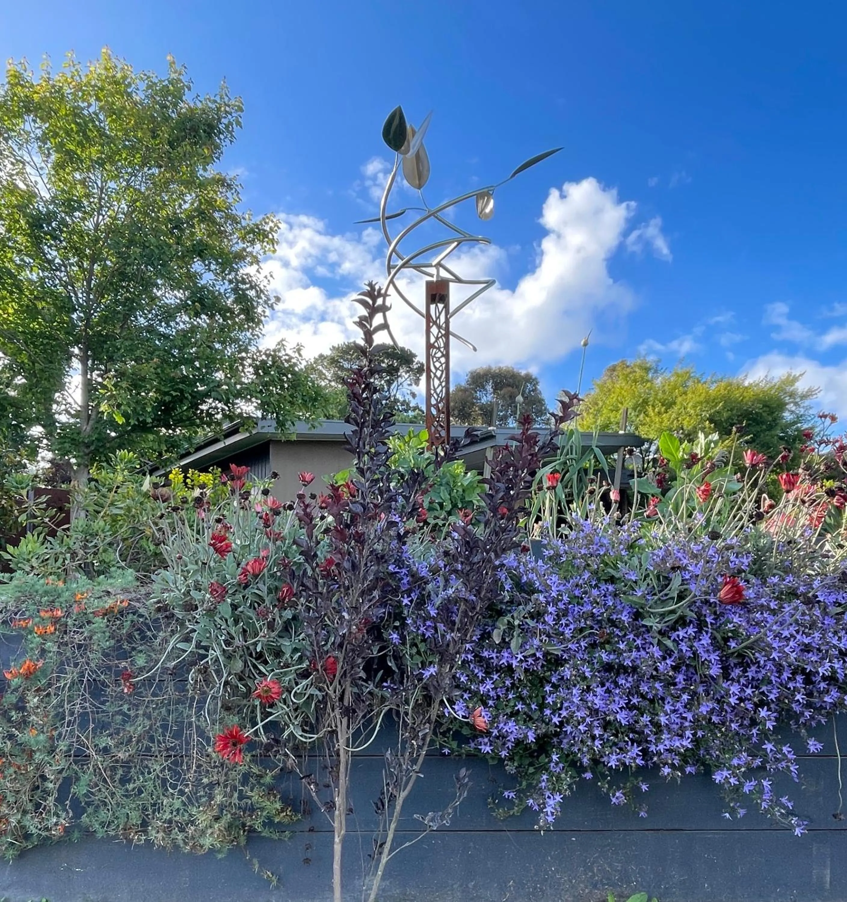 Garden in The Studio - Yarra Valley