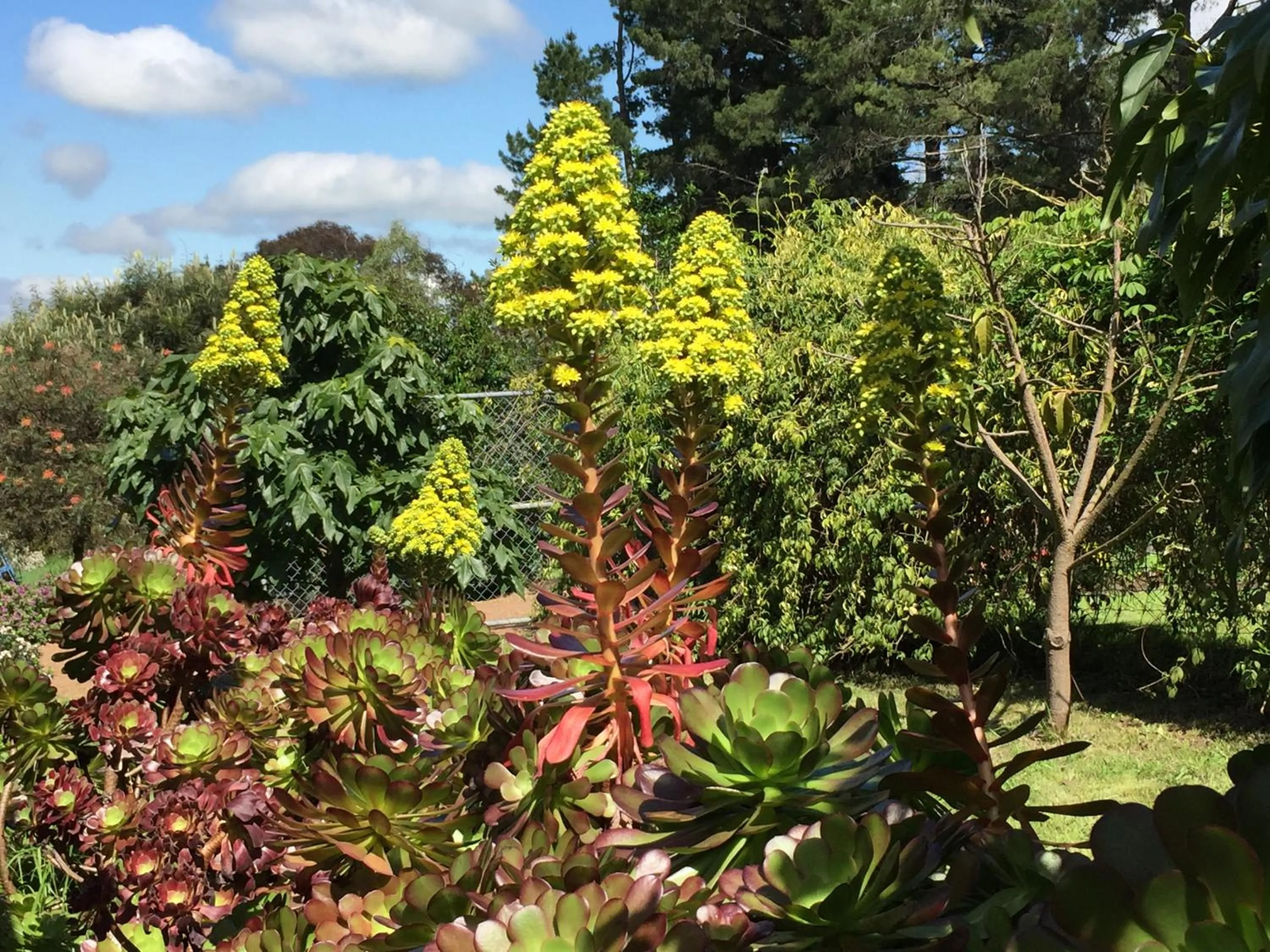 Property building in The Studio - Yarra Valley