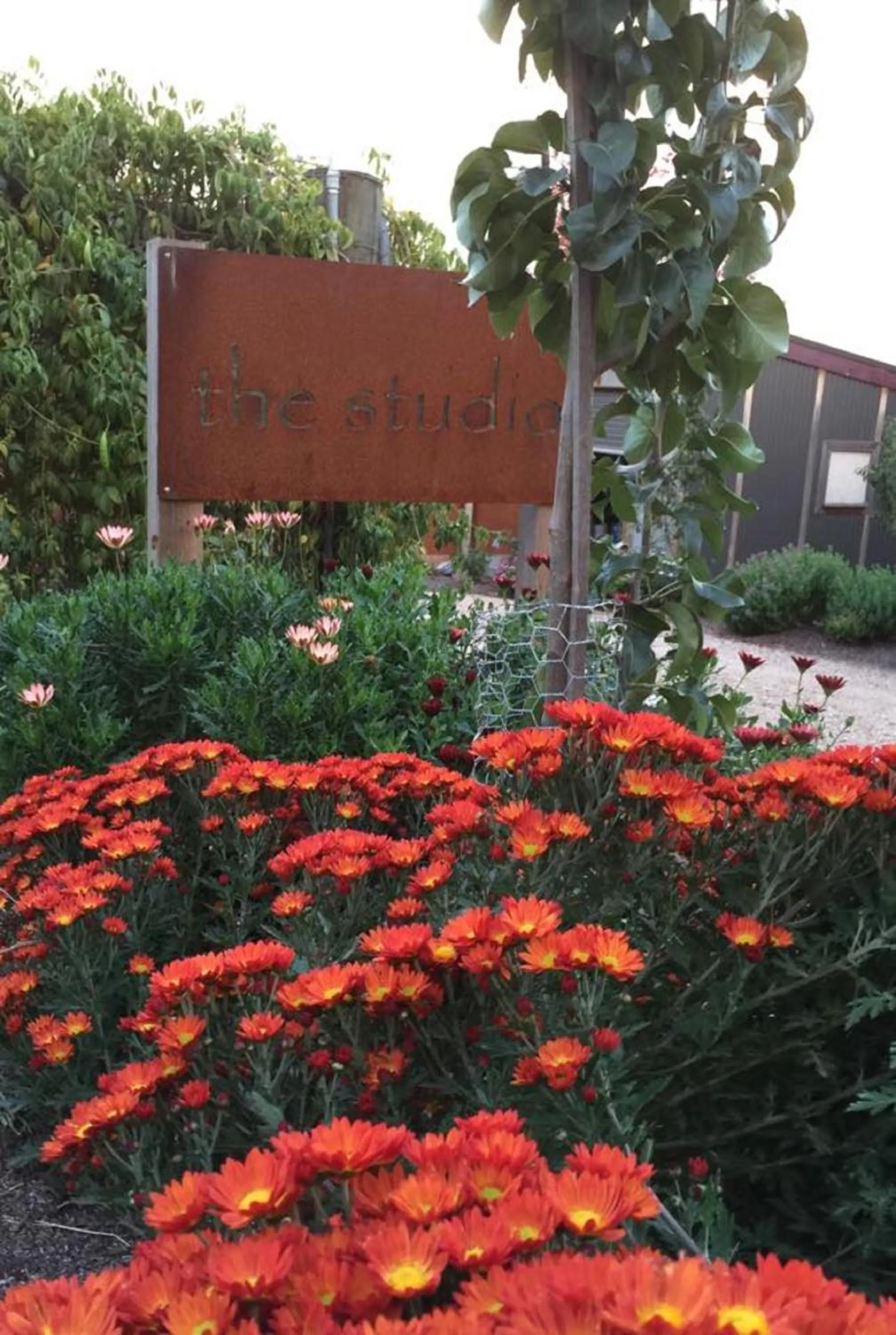 Property building in The Studio - Yarra Valley