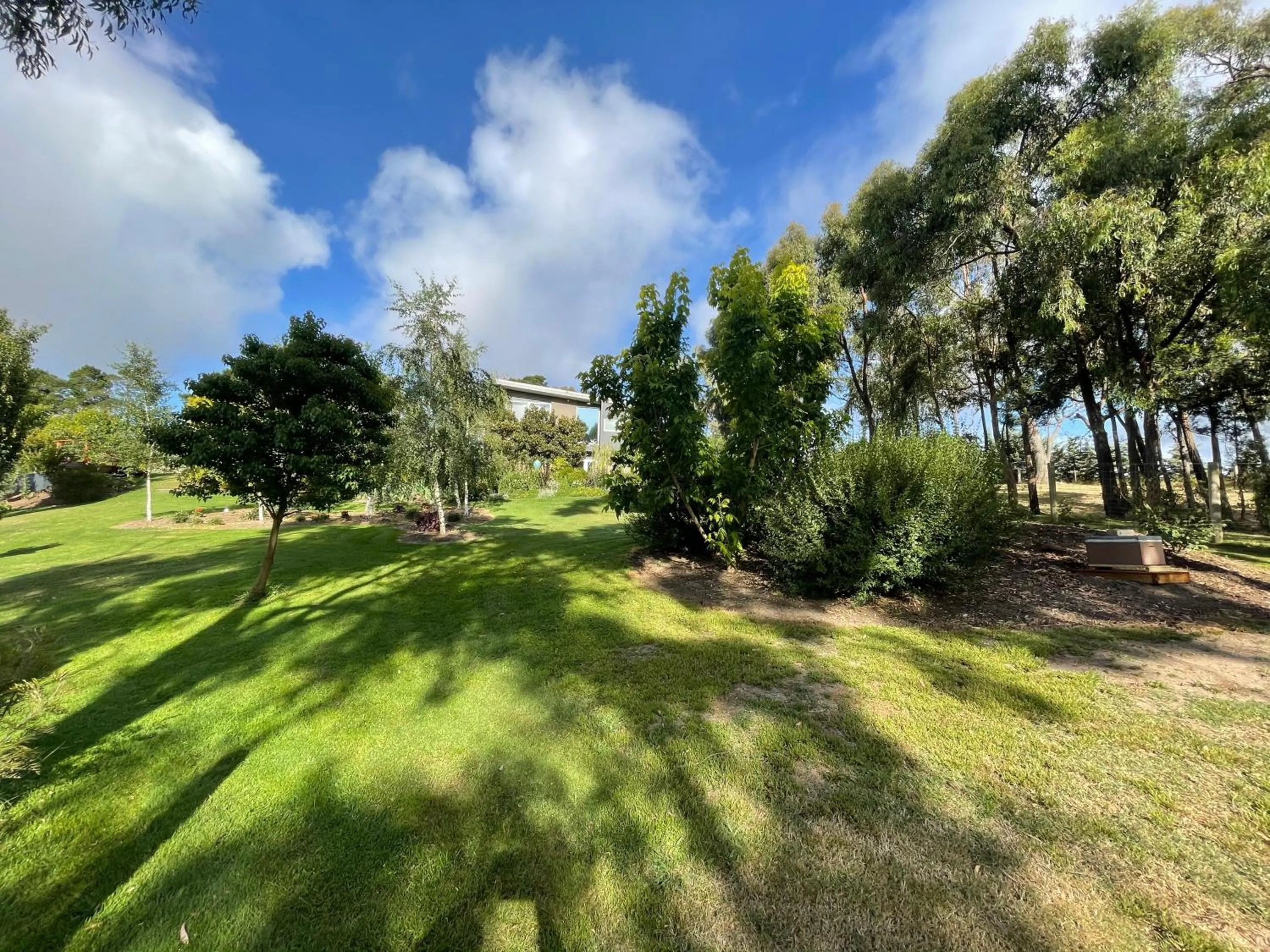 Garden in The Studio - Yarra Valley