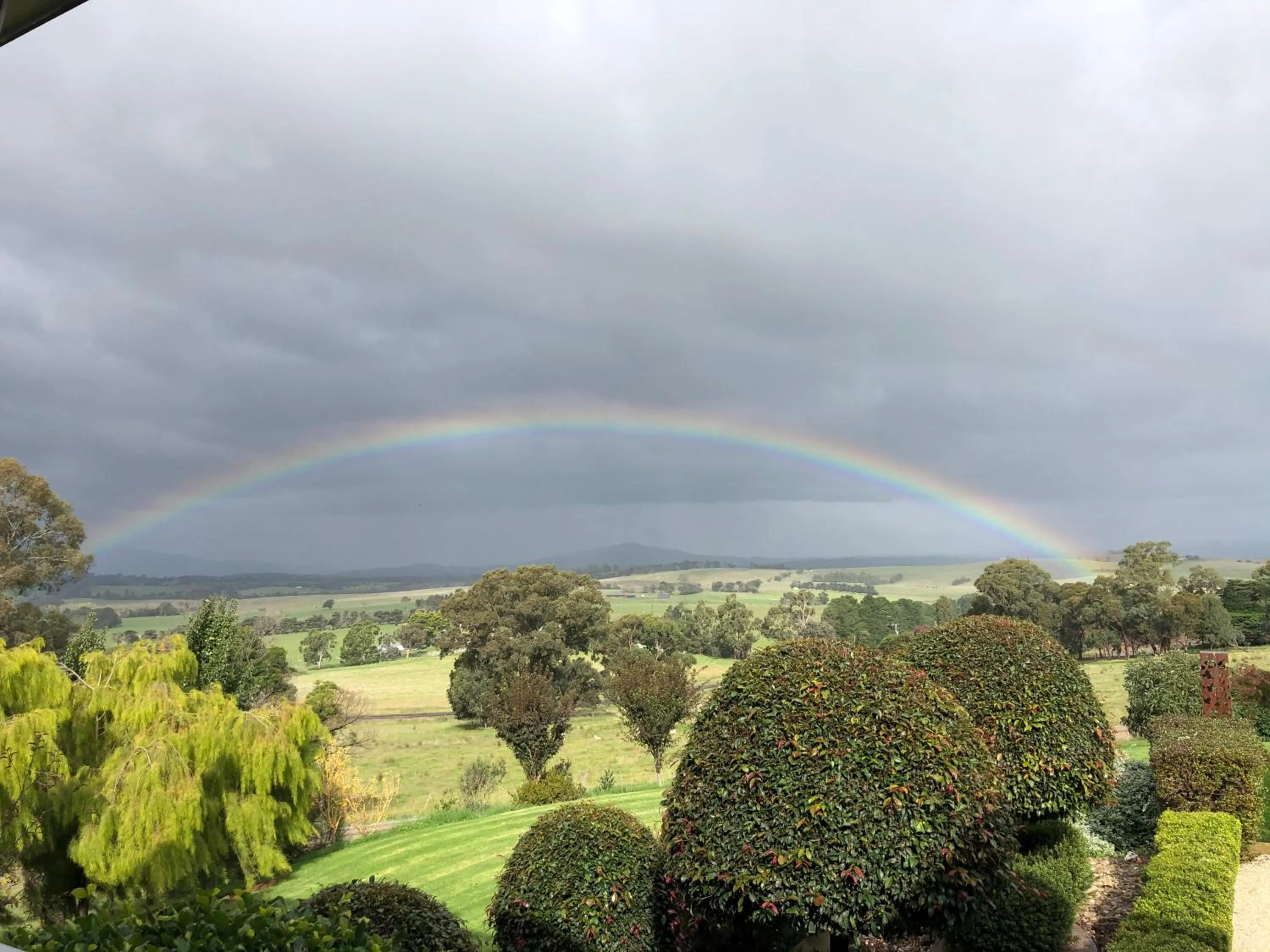 Natural landscape in The Studio - Yarra Valley