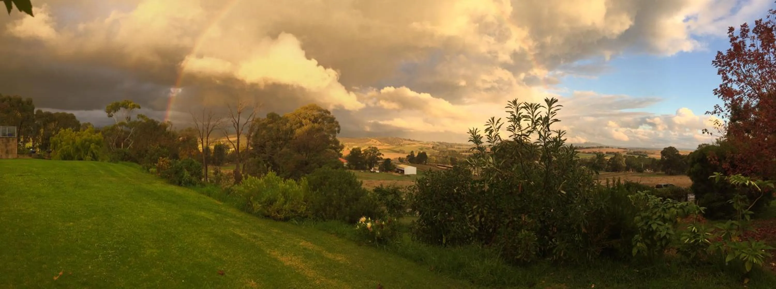 Natural landscape in The Studio - Yarra Valley
