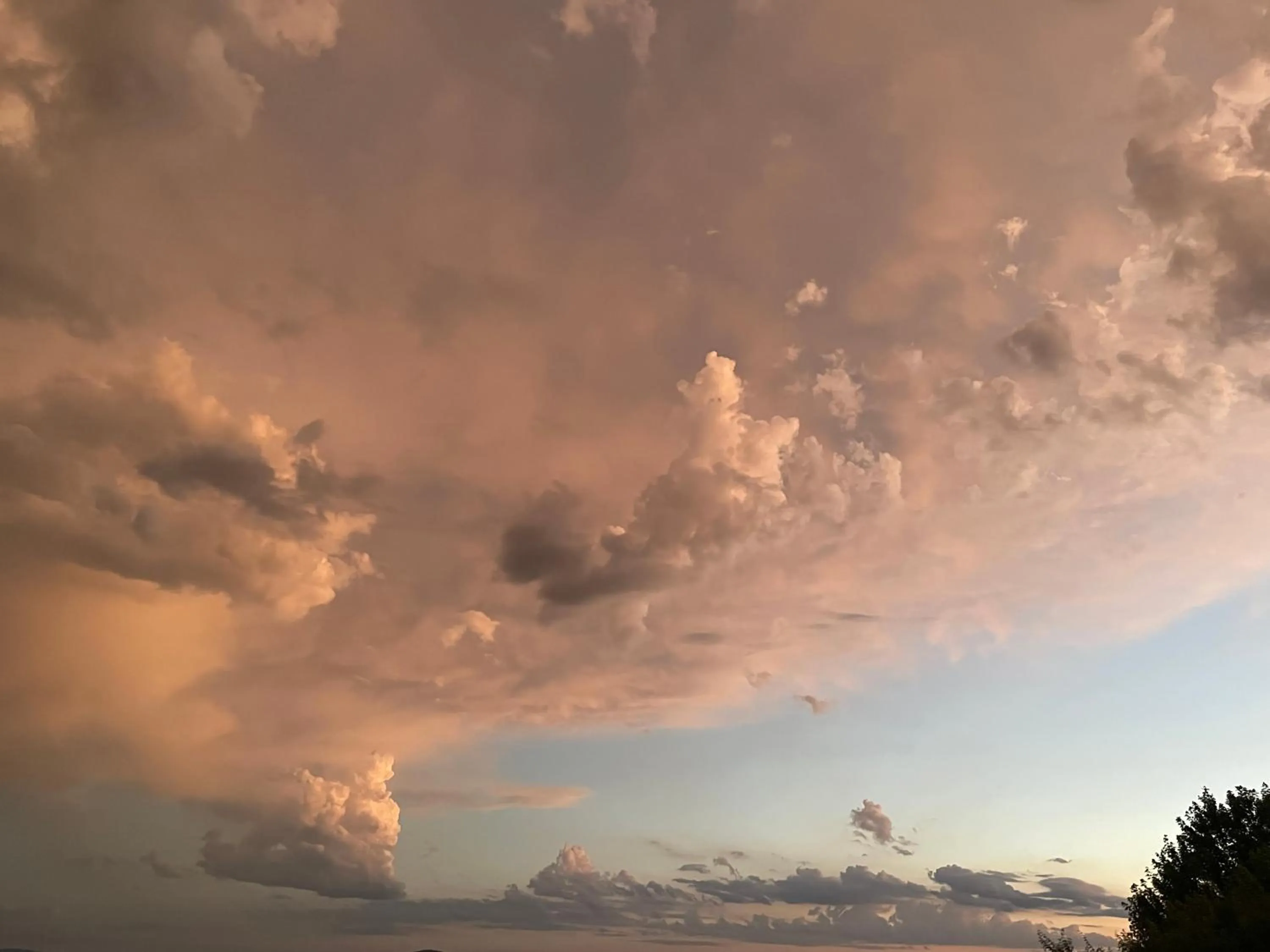 Natural landscape in The Studio - Yarra Valley