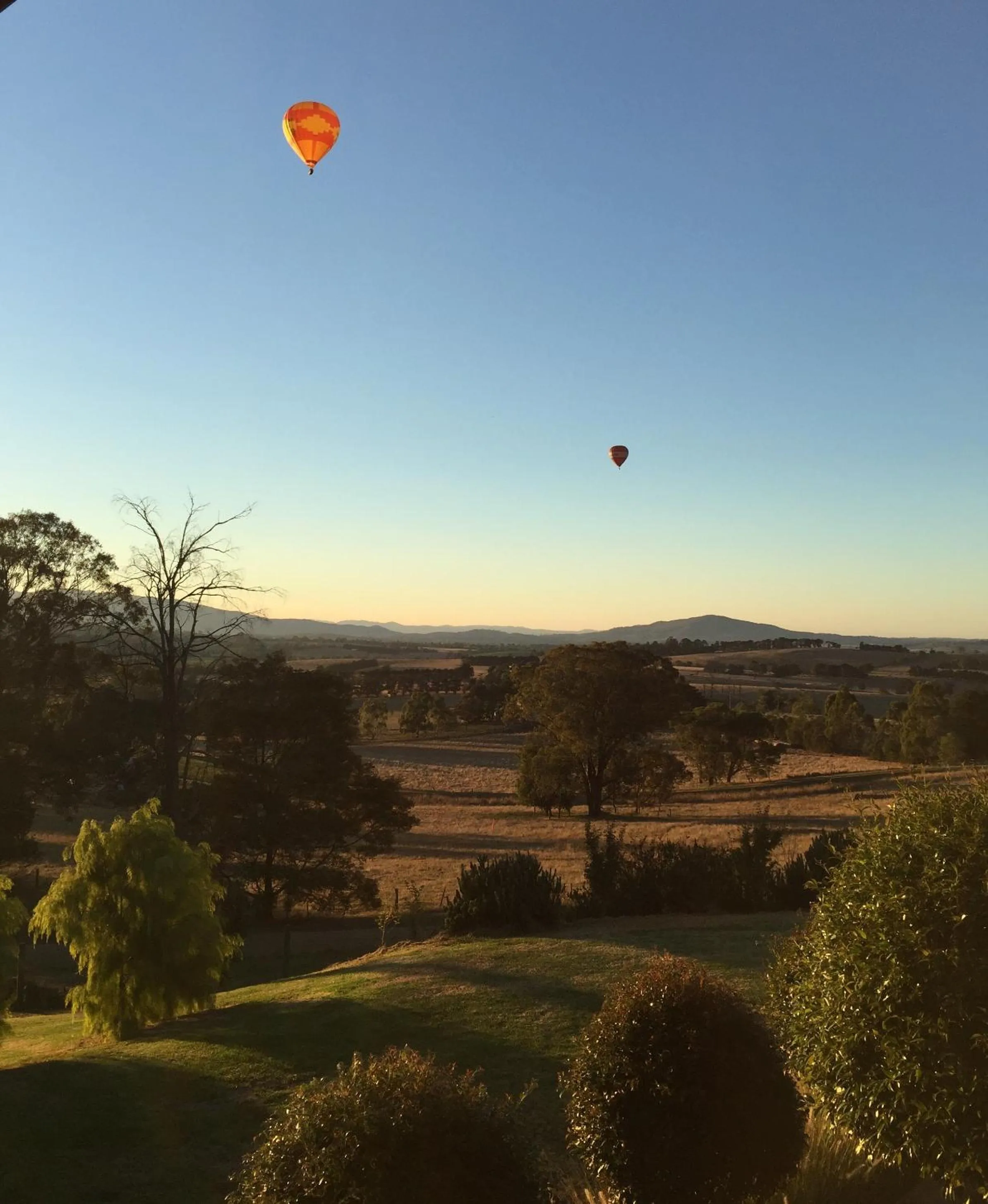 Activities in The Studio - Yarra Valley