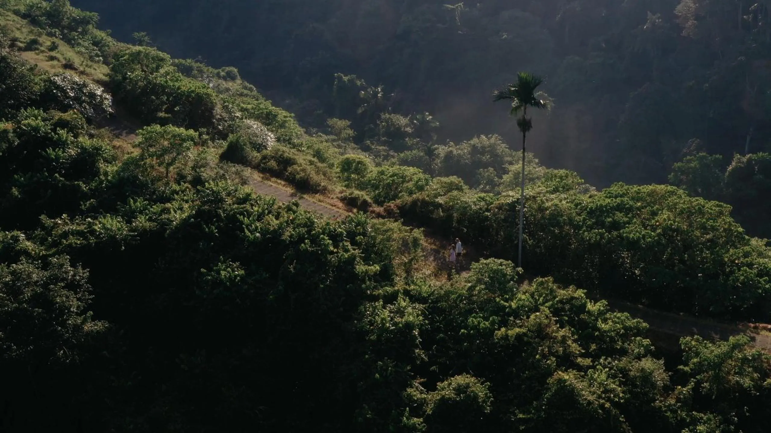 Natural landscape in Emana Abian Taksu