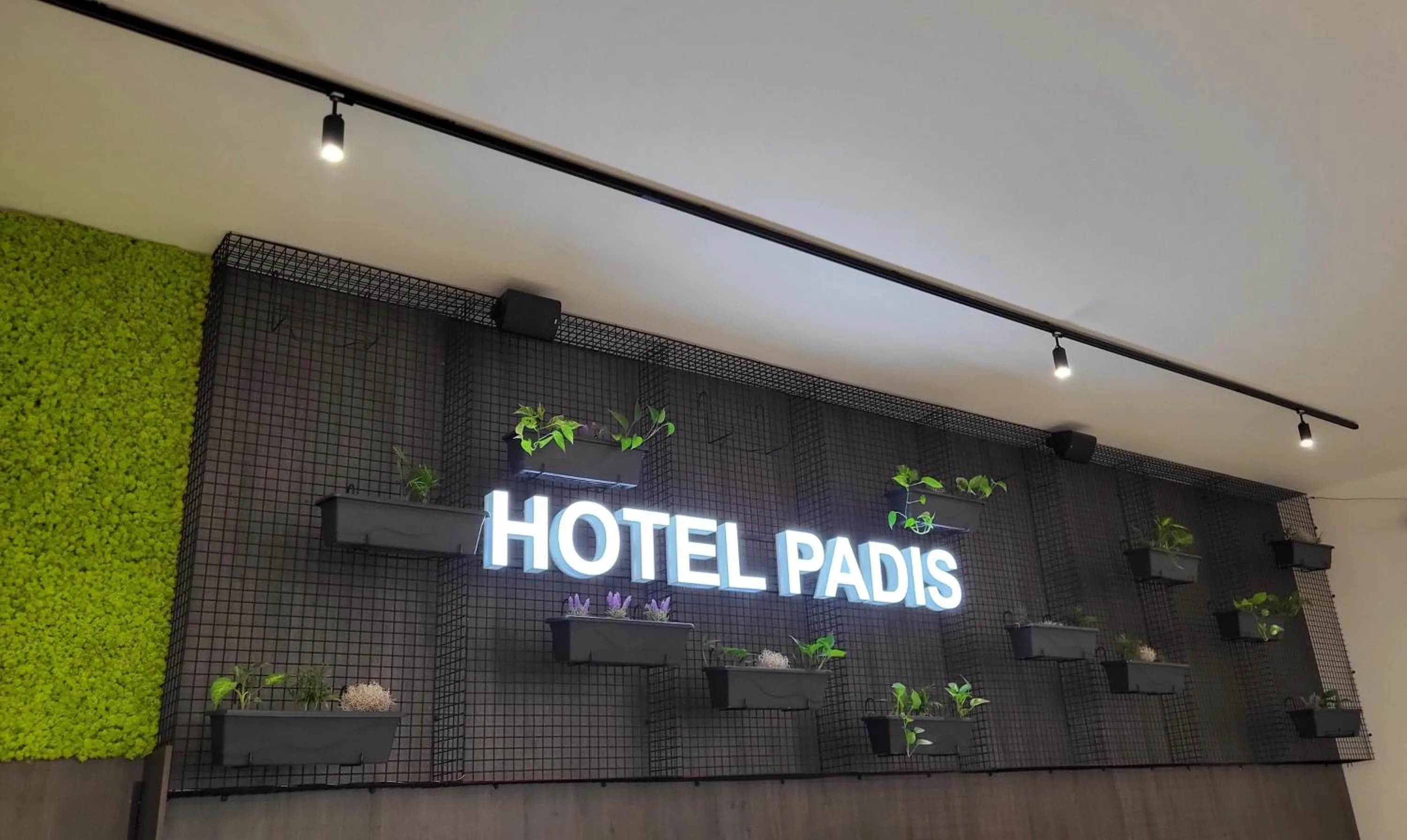 Hotel Padis