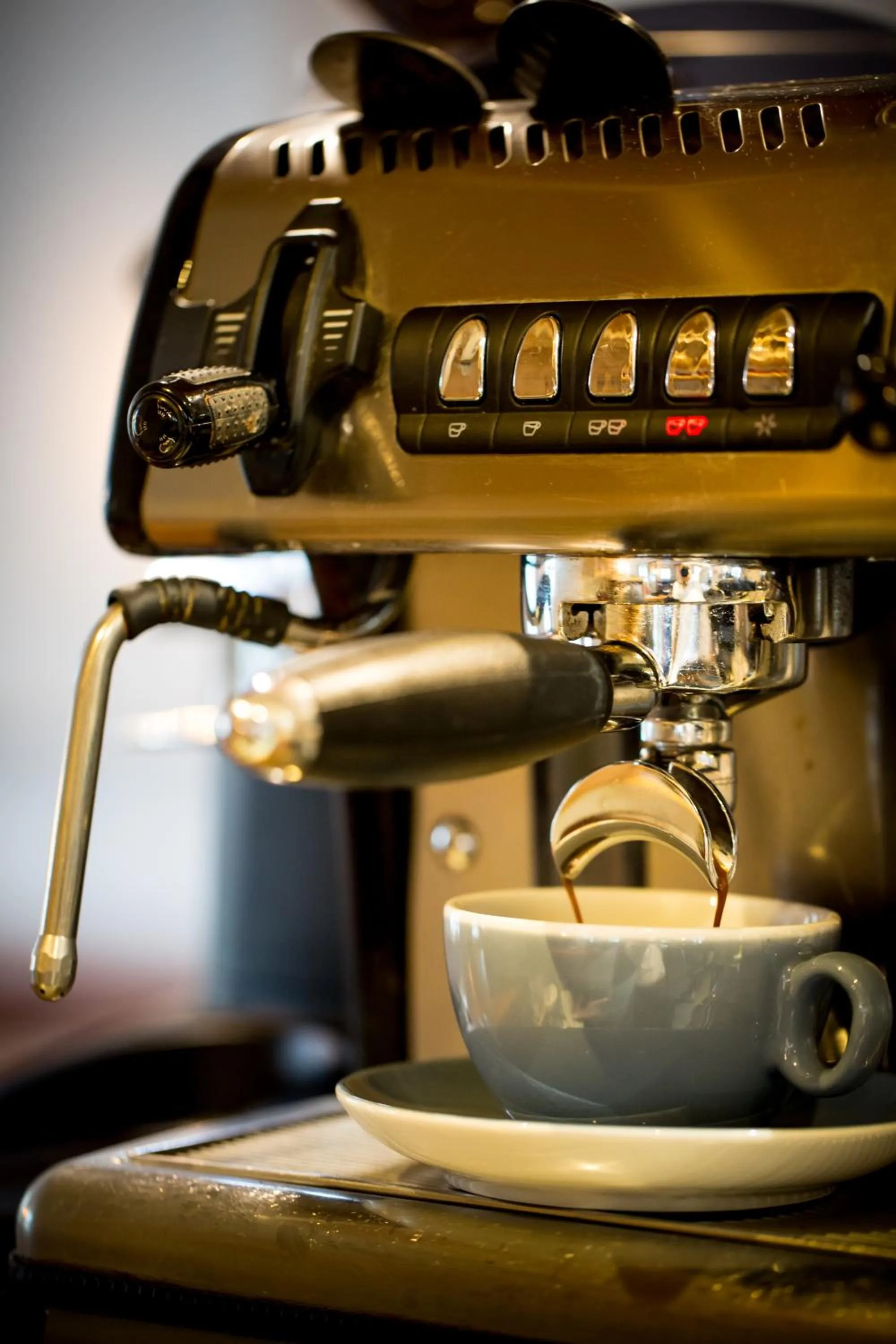 Non alcoholic drinks in Darlington Arms