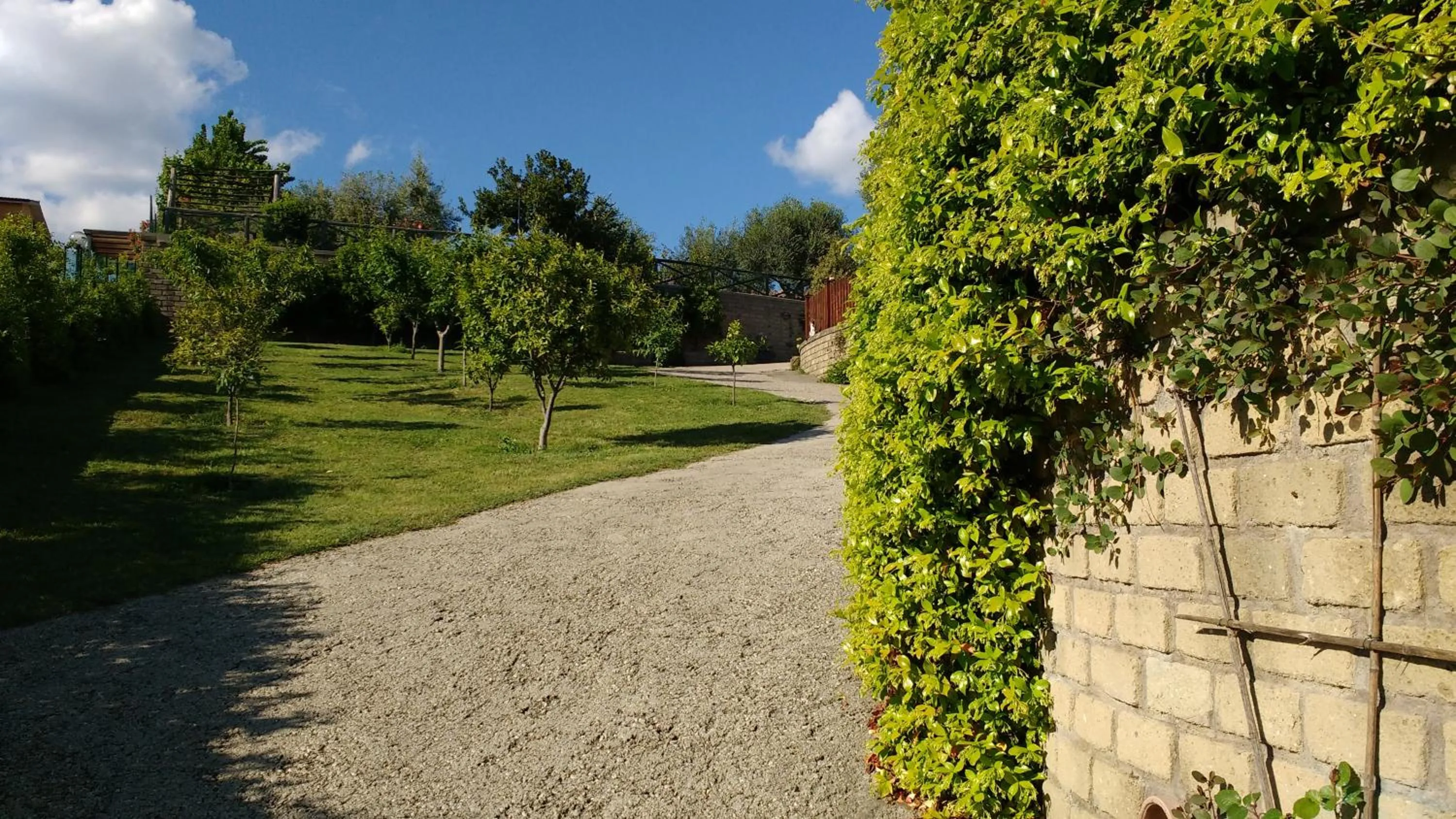 Garden in Bed And Bikers