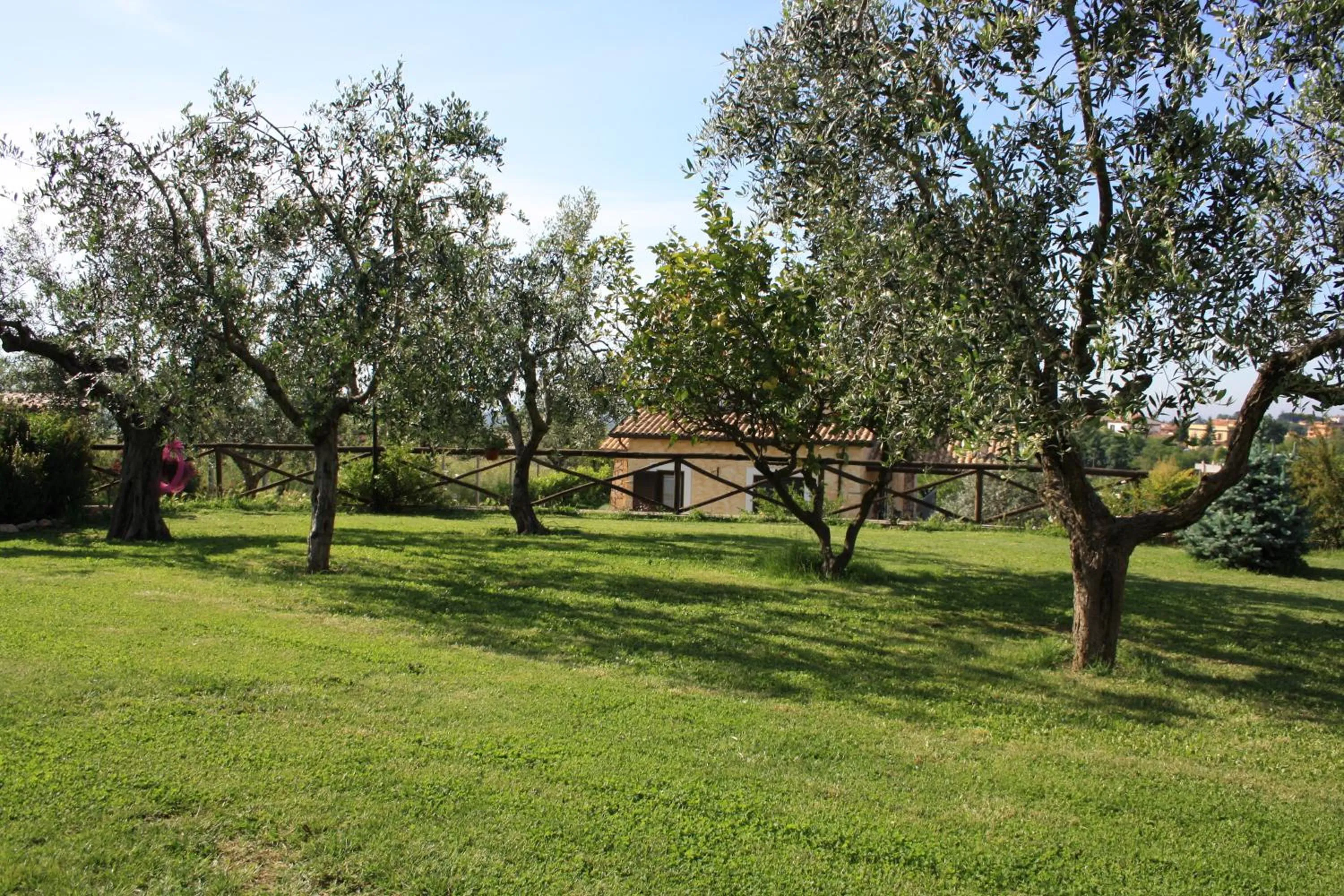 Garden in Bed And Bikers