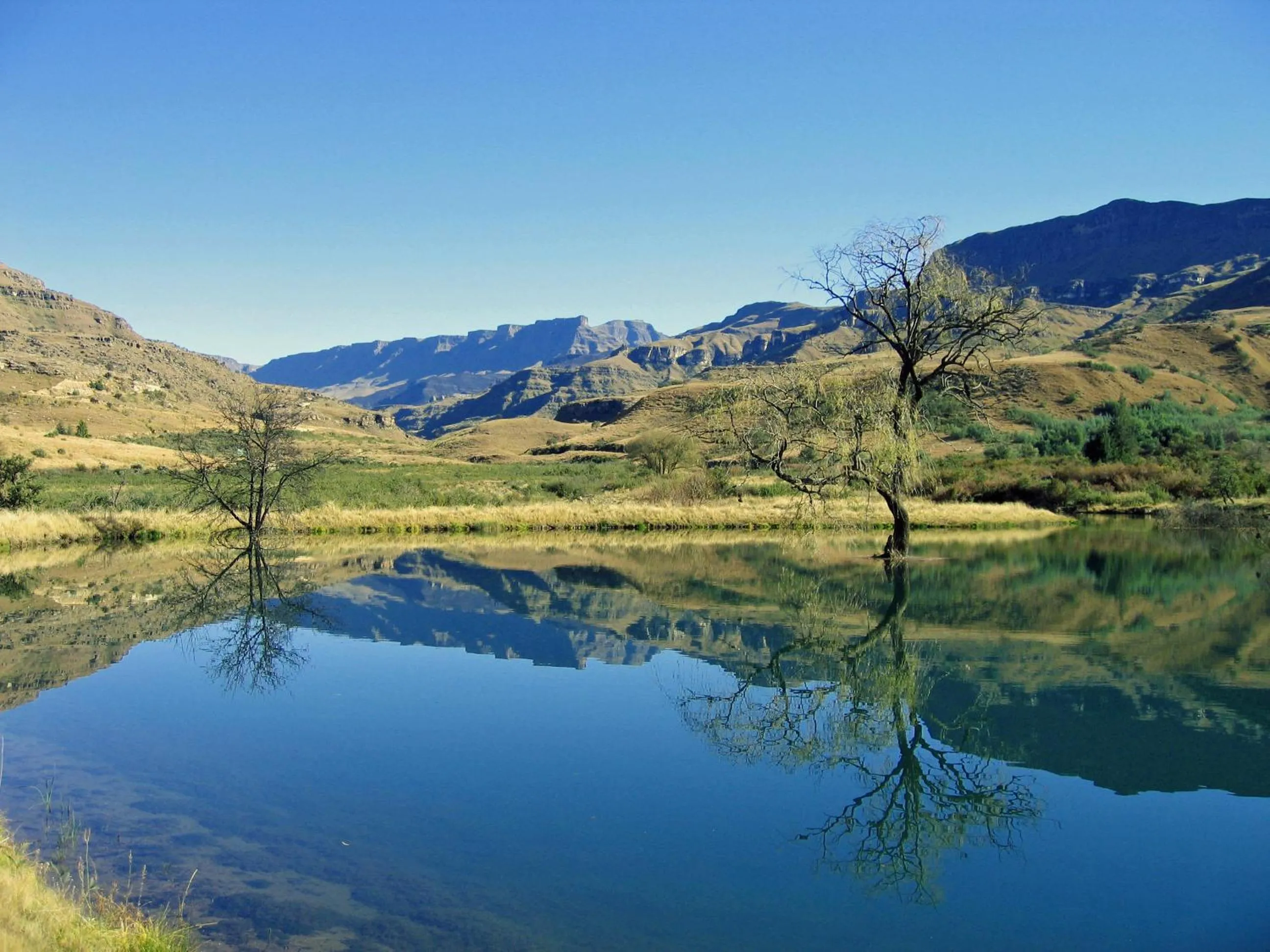 Garden view in Mkomazana Mountain Cottages