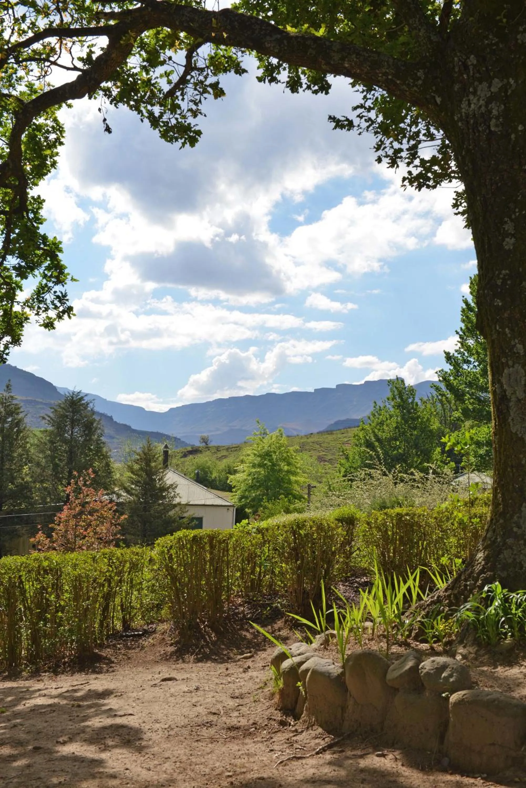 Garden view in Mkomazana Mountain Cottages