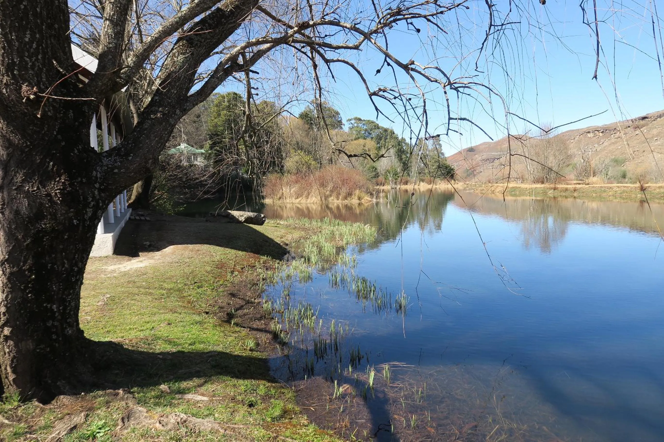 Garden view in Mkomazana Mountain Cottages