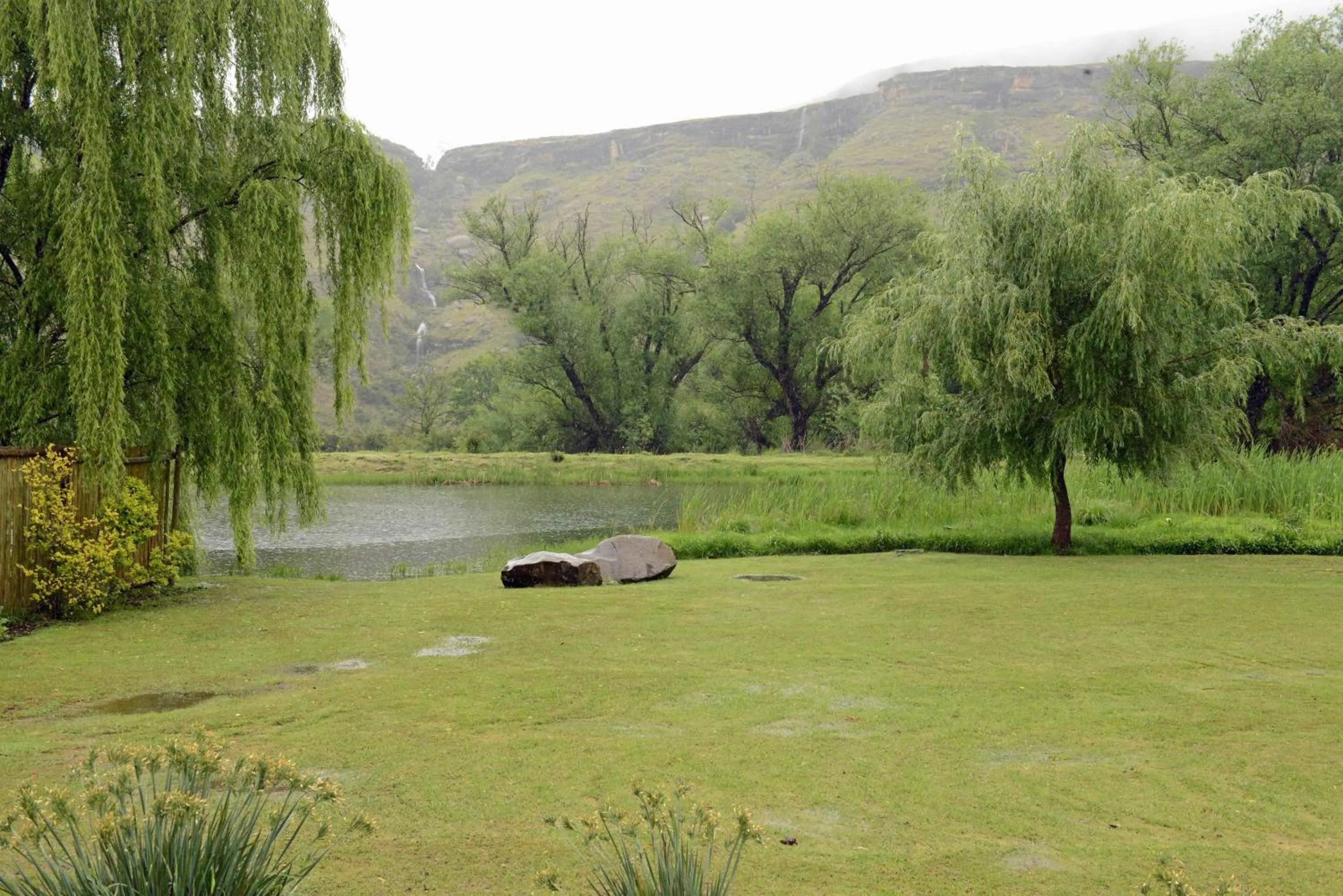 Garden view in Mkomazana Mountain Cottages