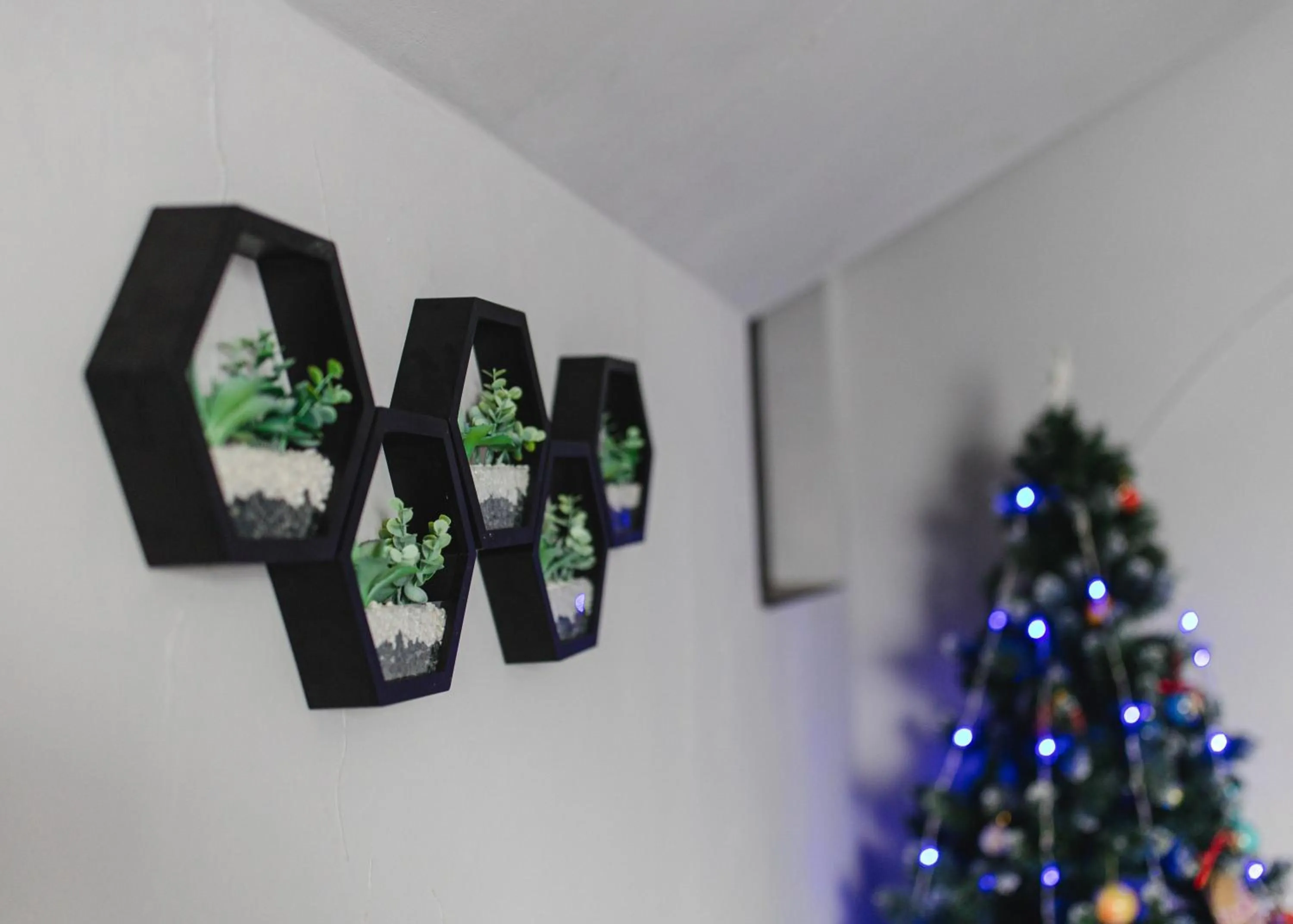 Property logo or sign in Kolyba Opryshkiv