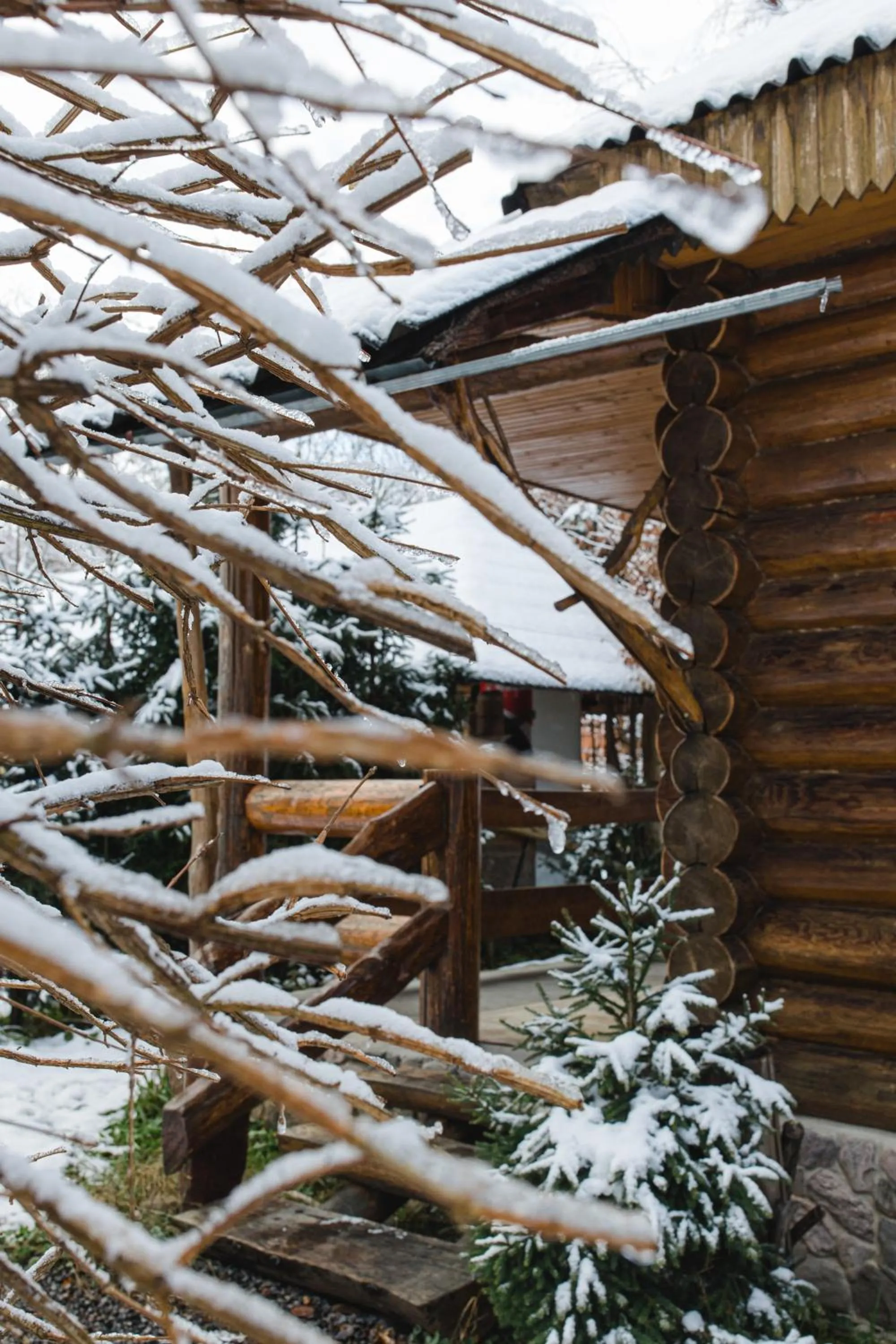 Day in Kolyba Opryshkiv