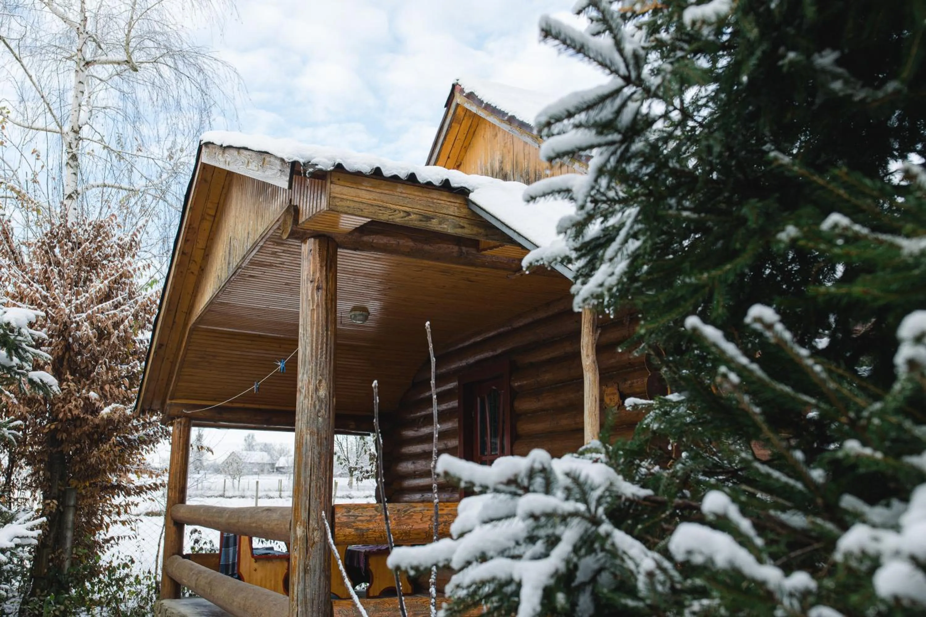 Property building in Kolyba Opryshkiv