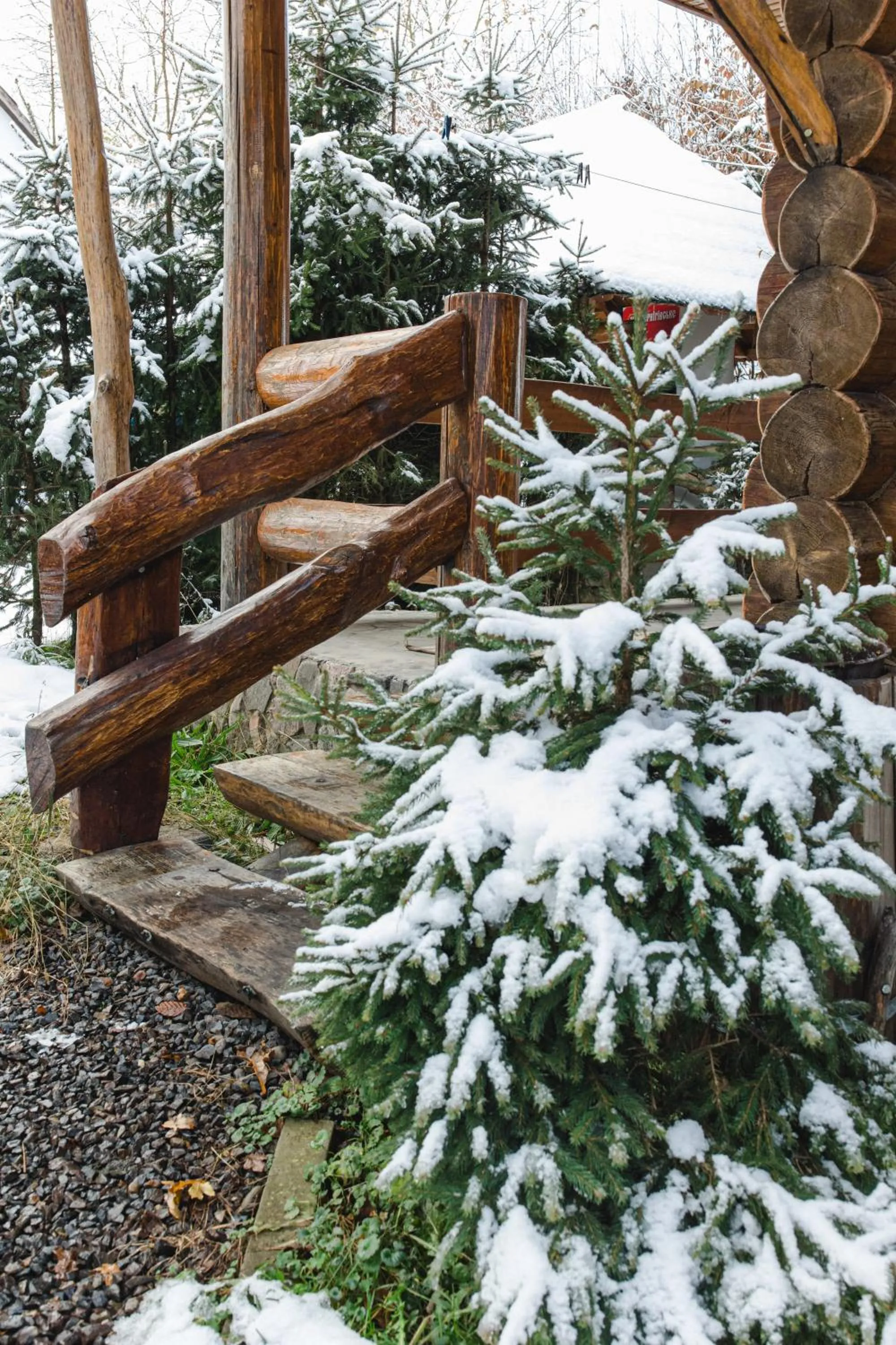 Spring in Kolyba Opryshkiv