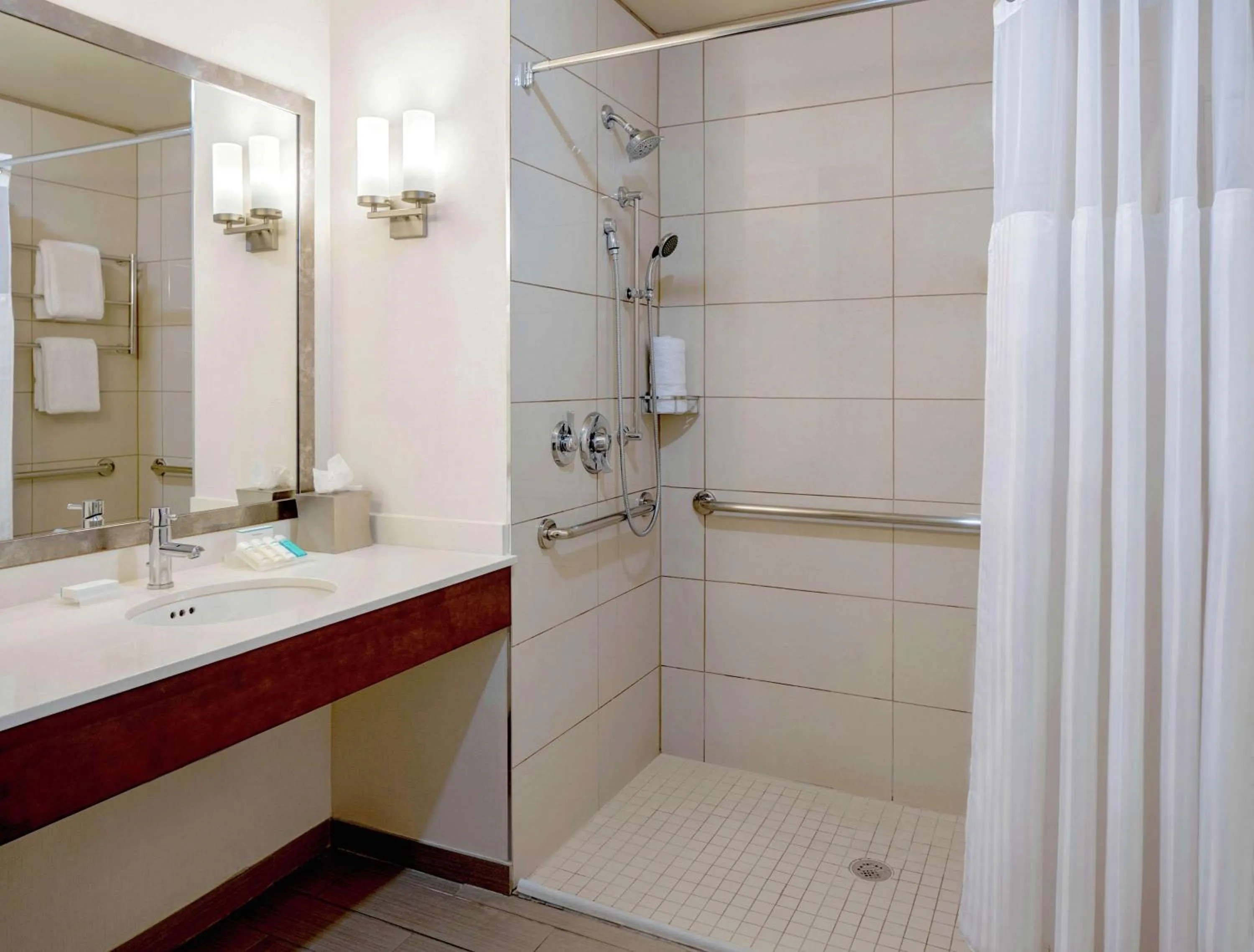 Bathroom in Hilton Garden Inn Downtown Dallas