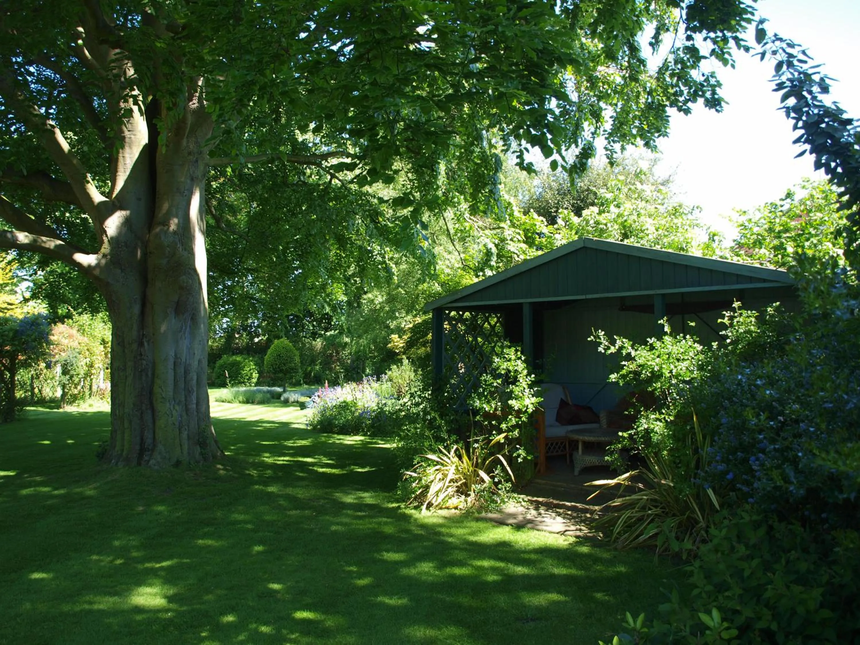 Garden in Beechwood Hotel