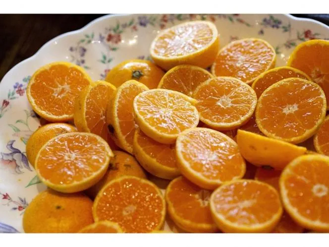 Toretore Village Nanki Shirahama