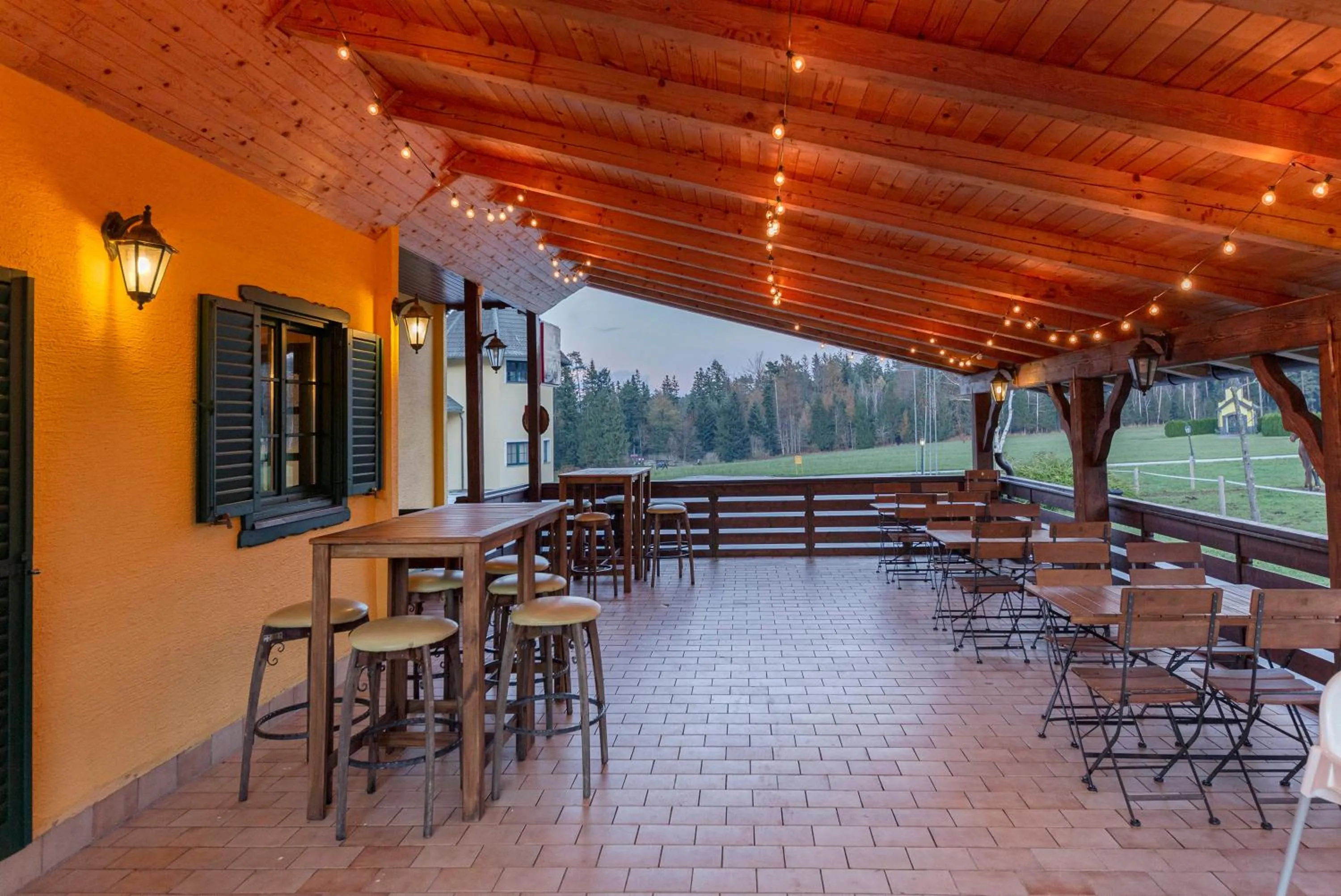Patio in Hotel Burger Veniše
