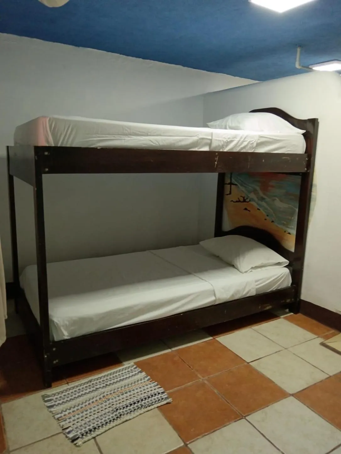 bunk bed, Bed in Blue Iguana
