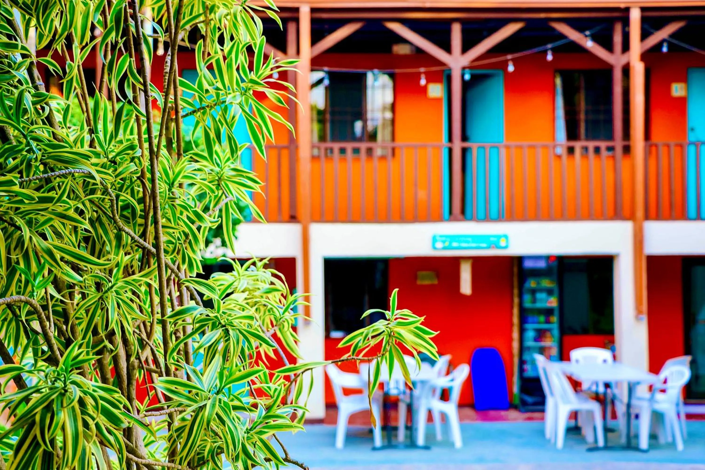 Patio in Blue Iguana