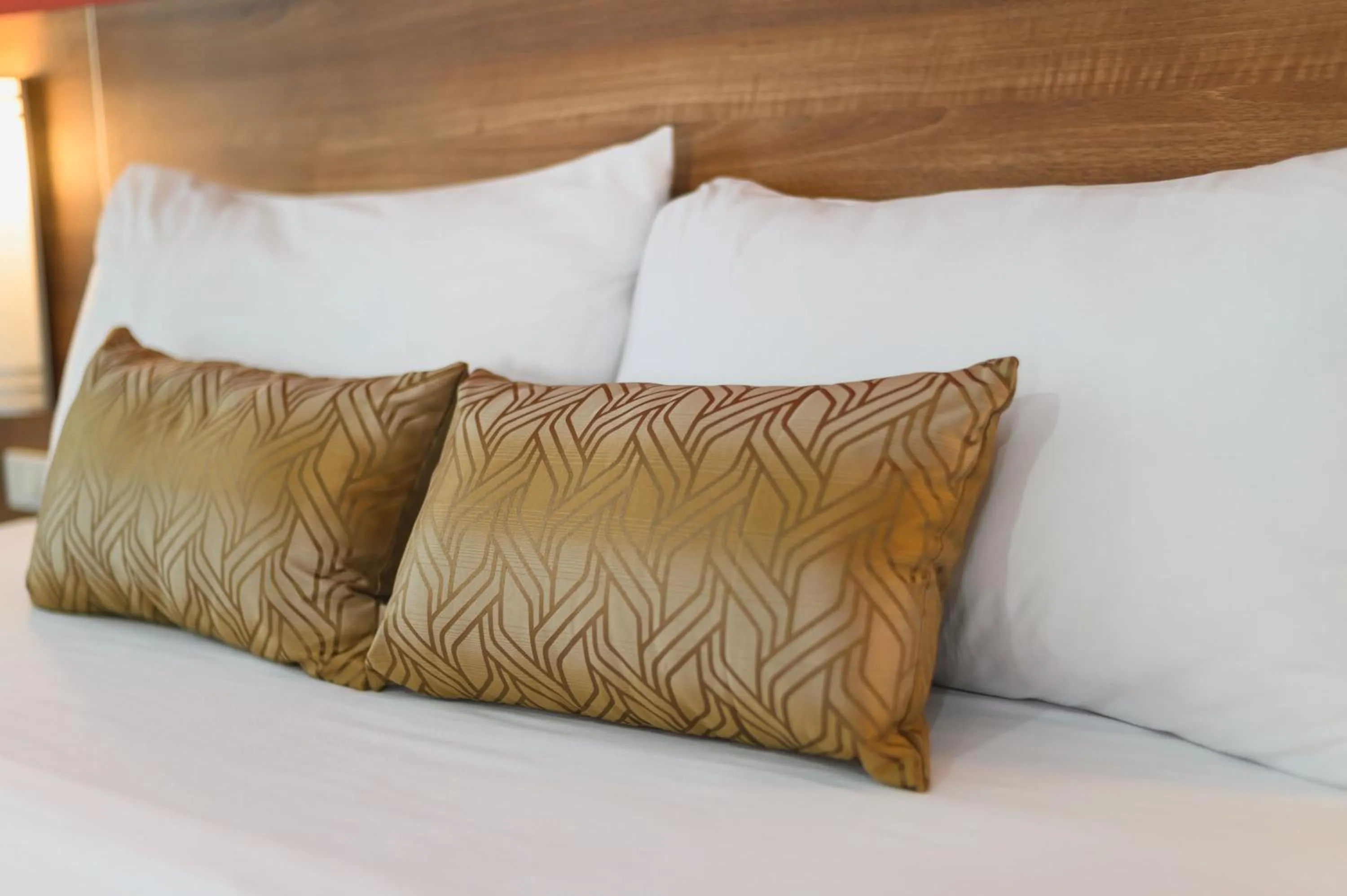 Bed in Eco Inn Prime Trang